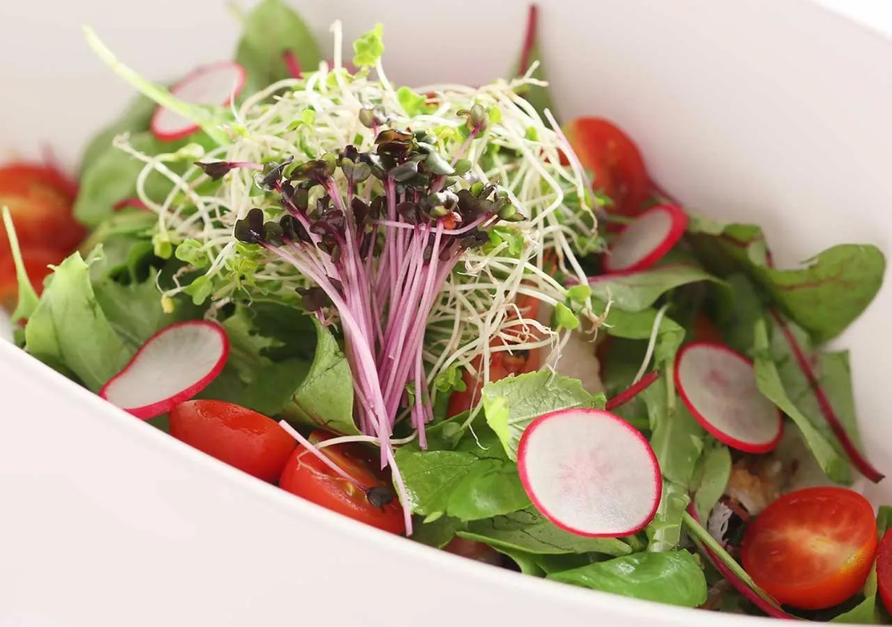 Food close-up in Aura Tachibana