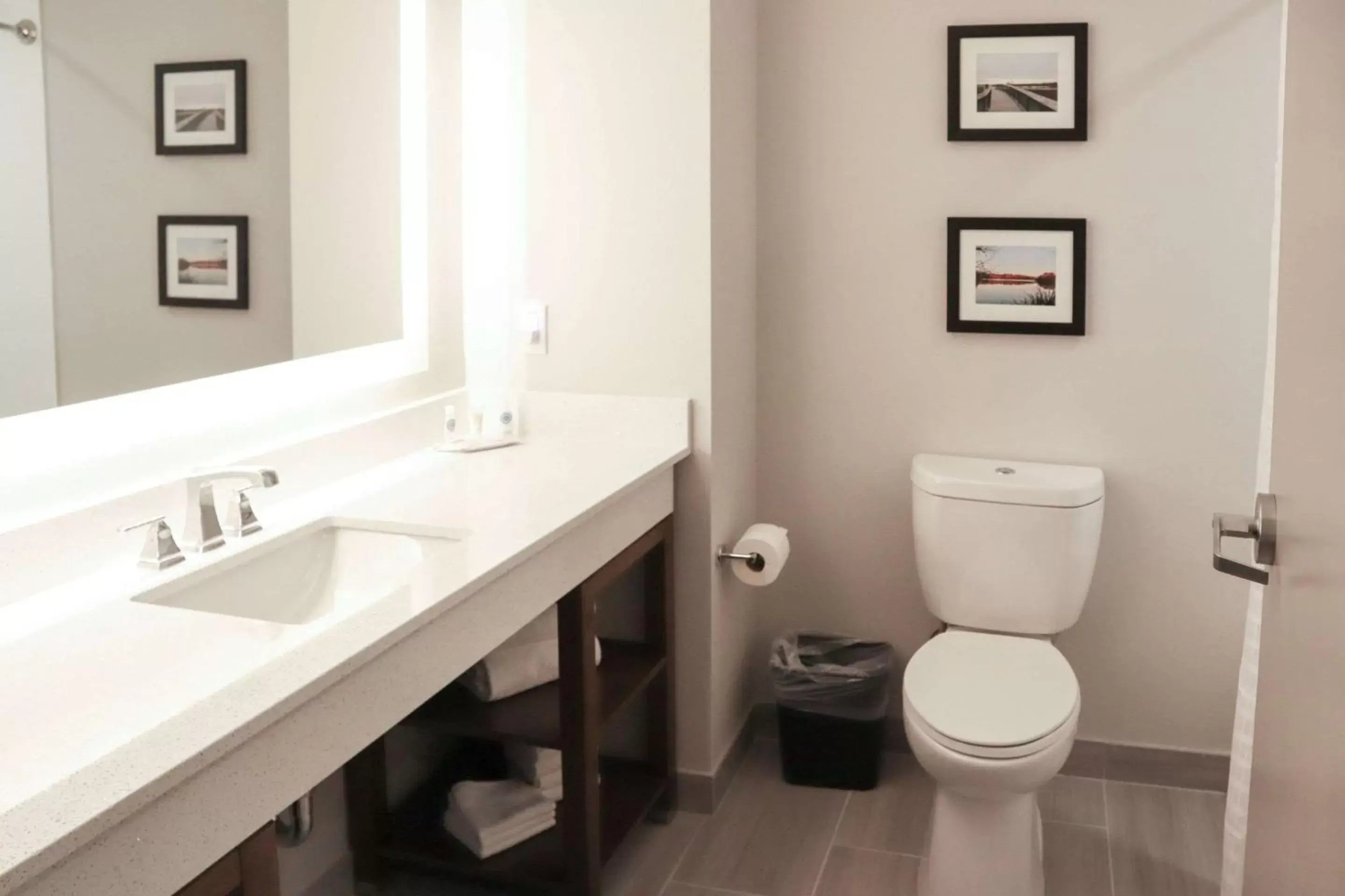 Toilet, Bathroom in Comfort Suites Gainesville Near University