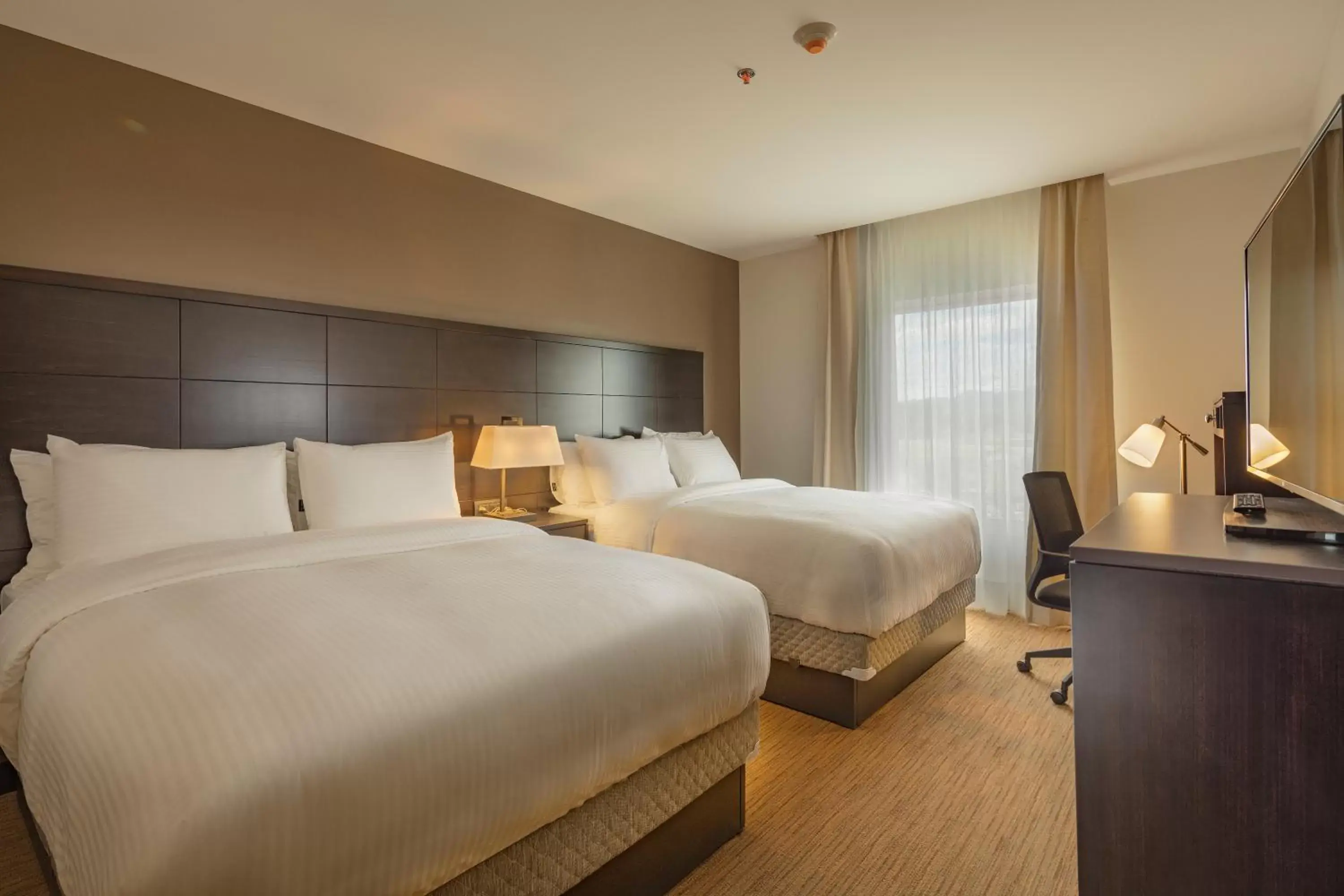 Bedroom, Bed in Staybridge Suites - Irapuato, an IHG Hotel