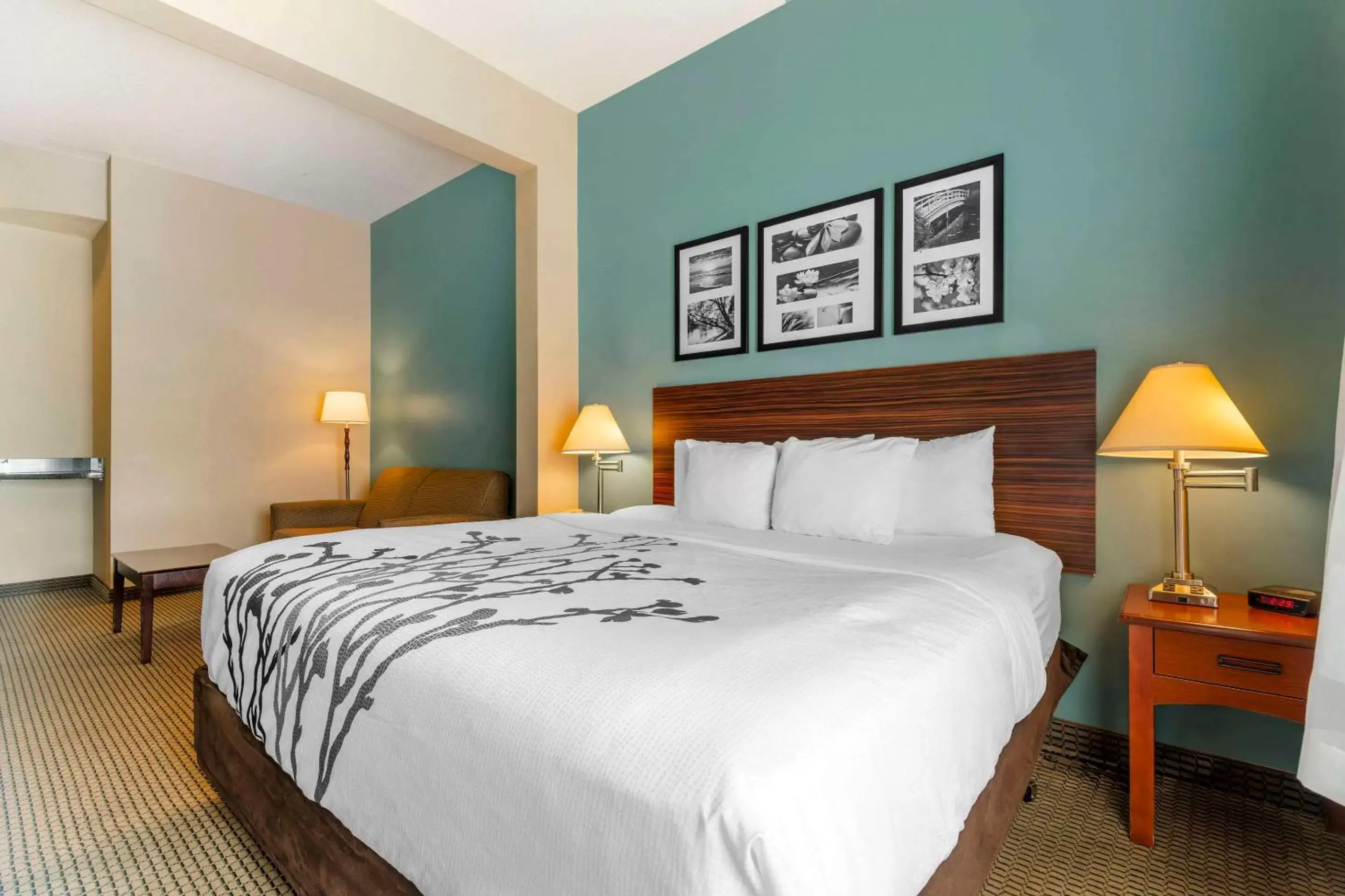 Bedroom, Bed in Sleep Inn & Suites Rapid City