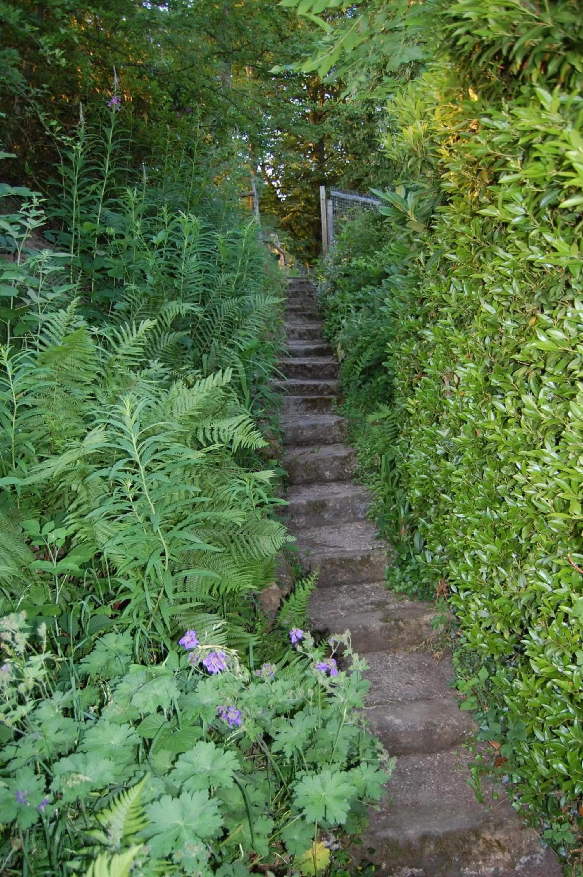 Decorative detail in The Gables Bed & Breakfast