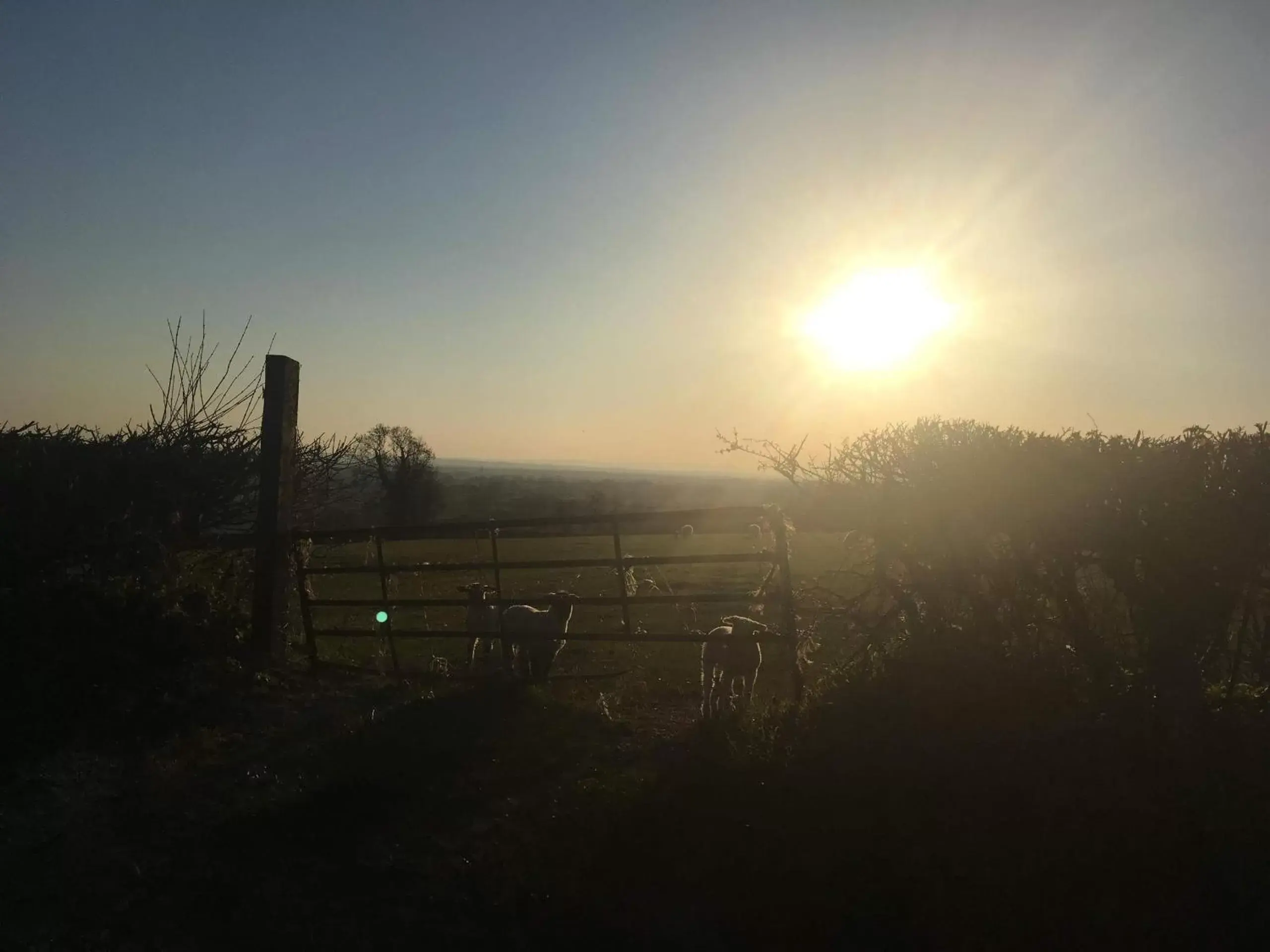 Natural landscape in Worth House Bed and Breakfast