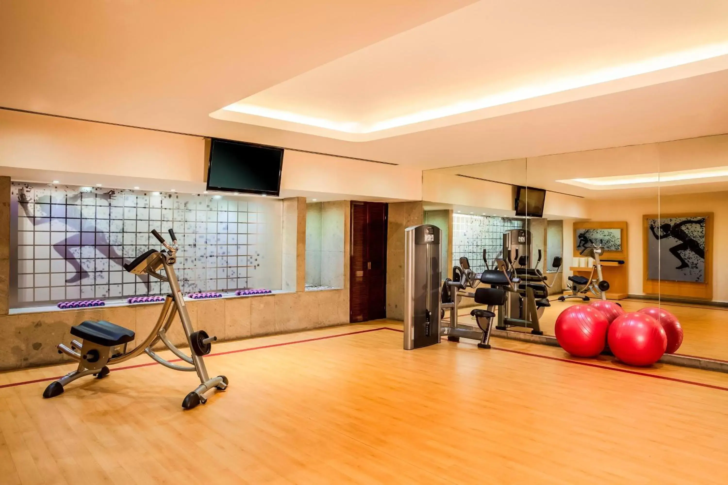 Fitness centre/facilities, Fitness Center/Facilities in Sheraton Mexico City Maria Isabel