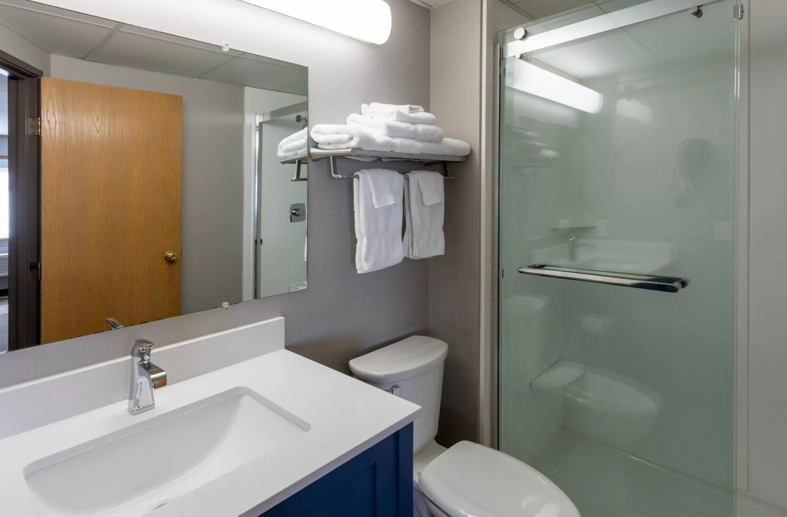 Shower, Bathroom in Paynesville Inn & Suites