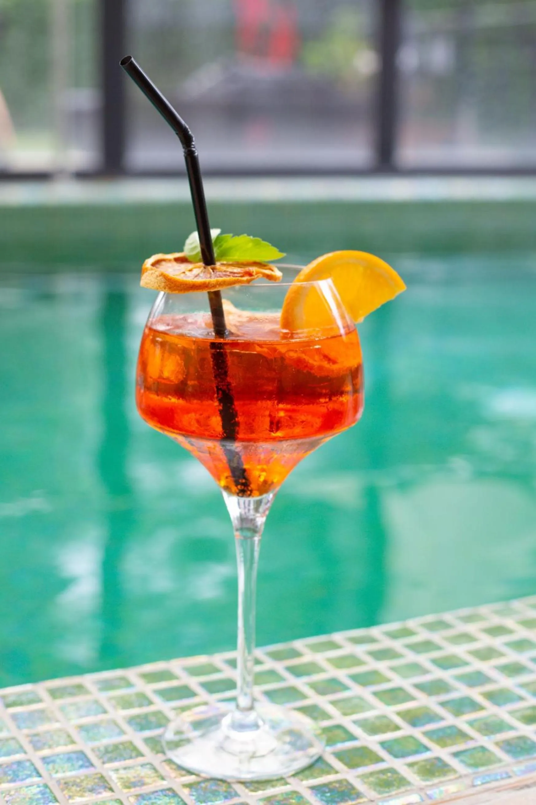 Hotel****Spa & Restaurant Cantemerle