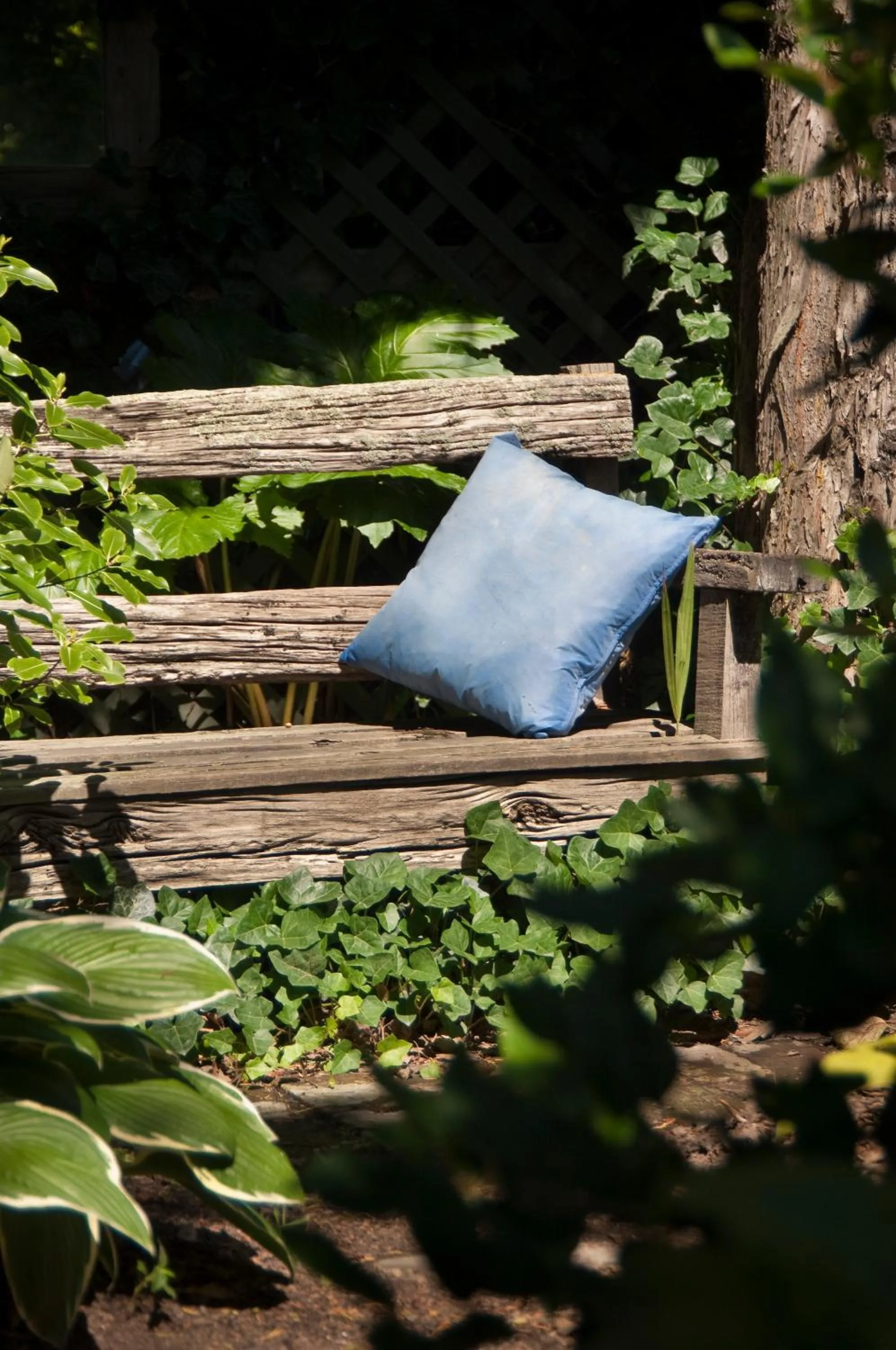 Garden in The Peppertree Luxury Accommodation