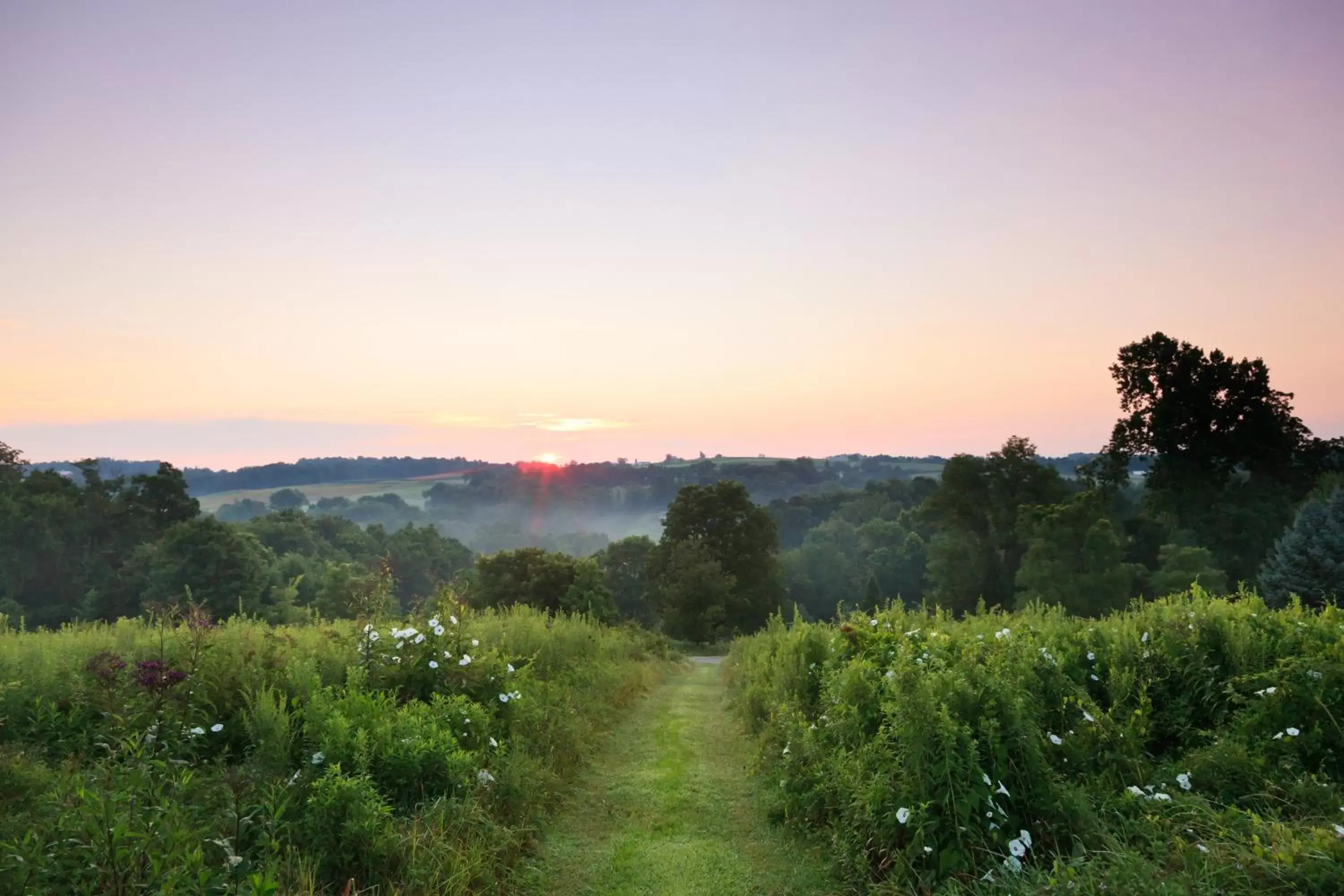 Natural landscape in The Inn at Honey Run Millersburg