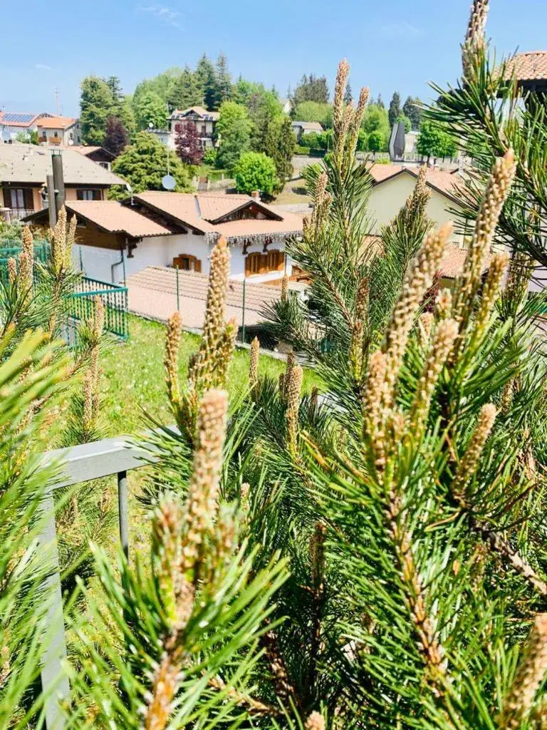 Garden, Property Building in T'ami Hotel Resort Spa