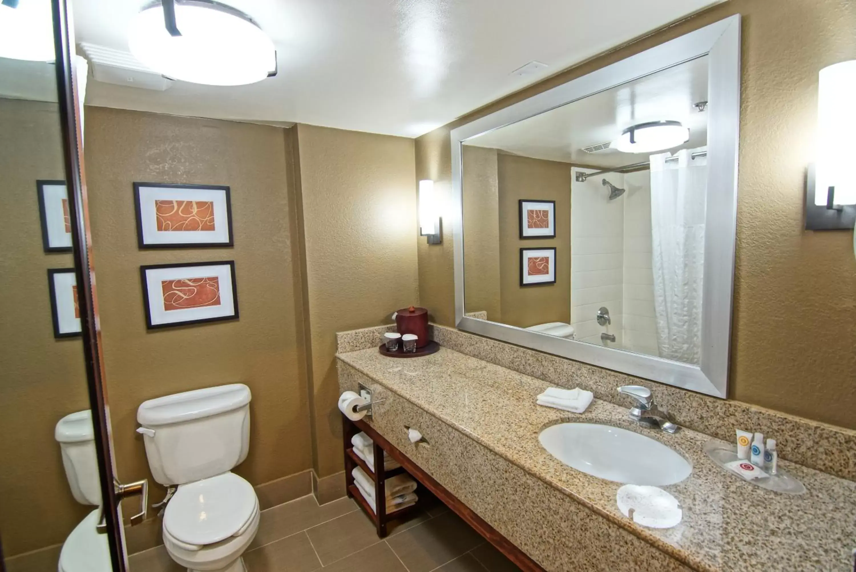 Bathroom in Comfort Suites Near University