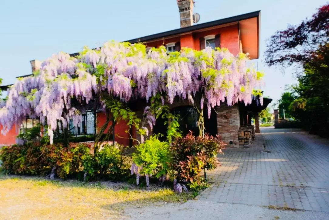 Property Building in Red Fenice