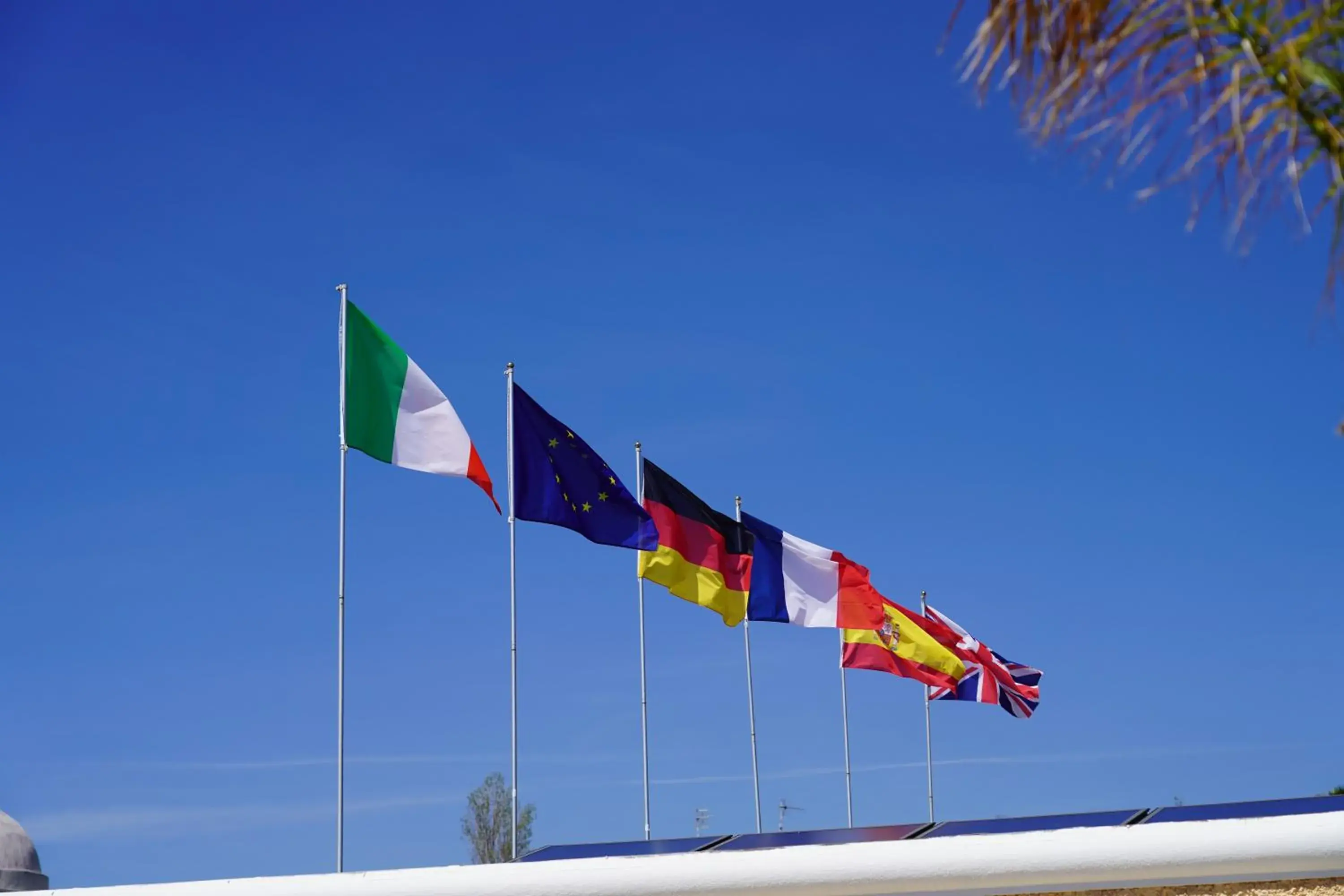 Decorative detail, Windsurfing in Hotel Parco Delle Agavi