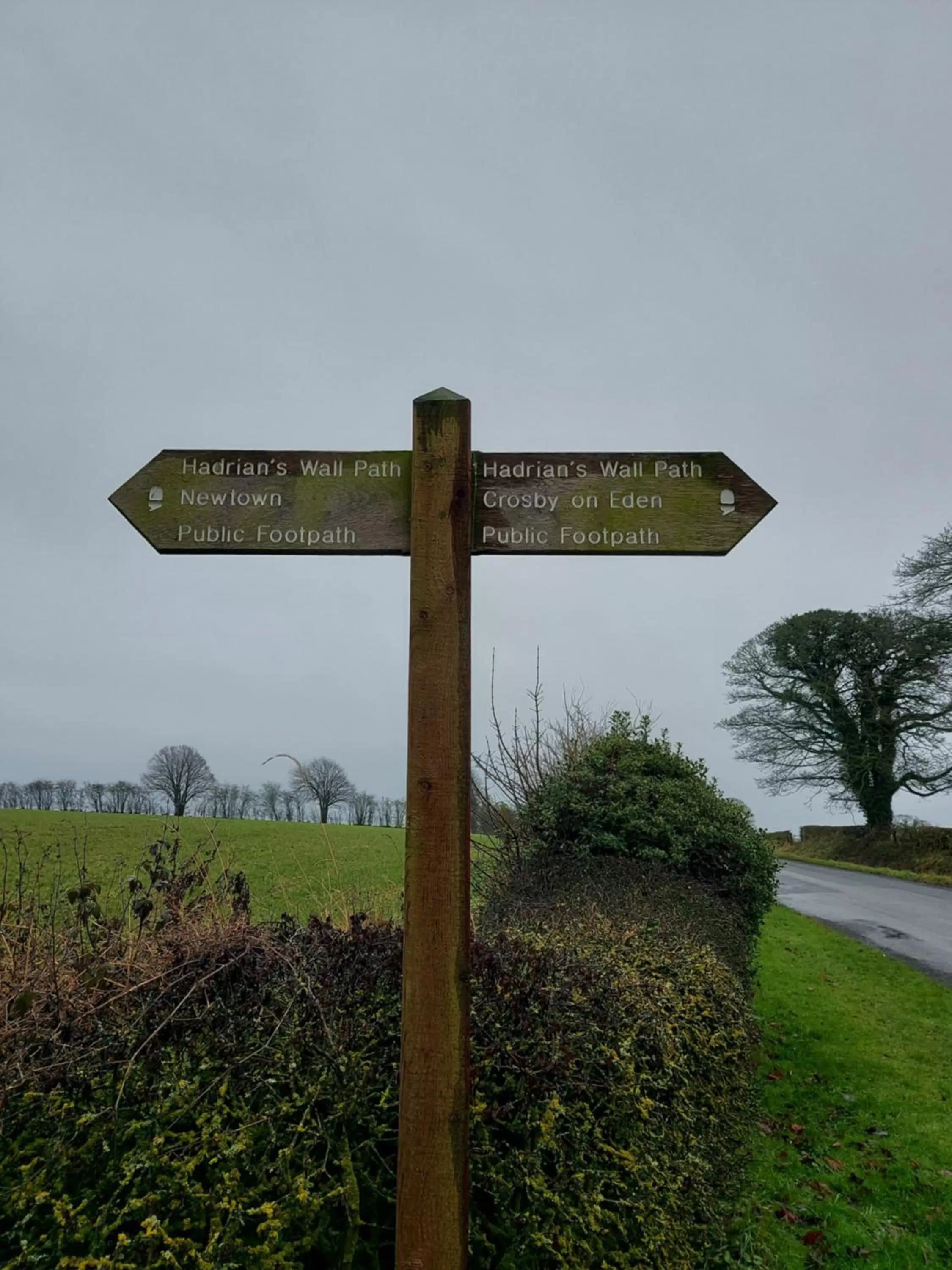 Hadrians wall studio