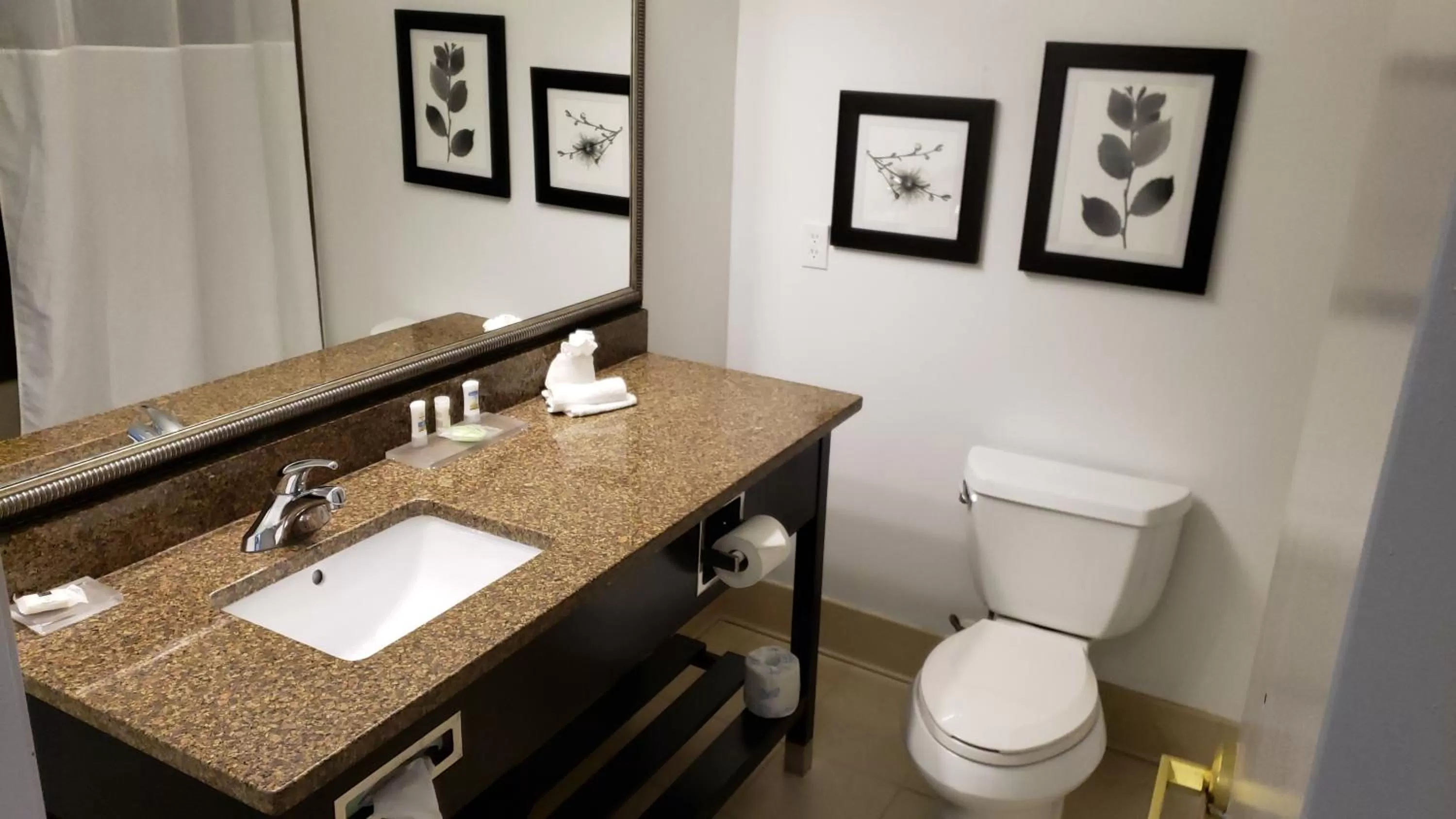 Toilet in Country Inn & Suites by Radisson, Bradenton-Lakewood-Ranch, FL