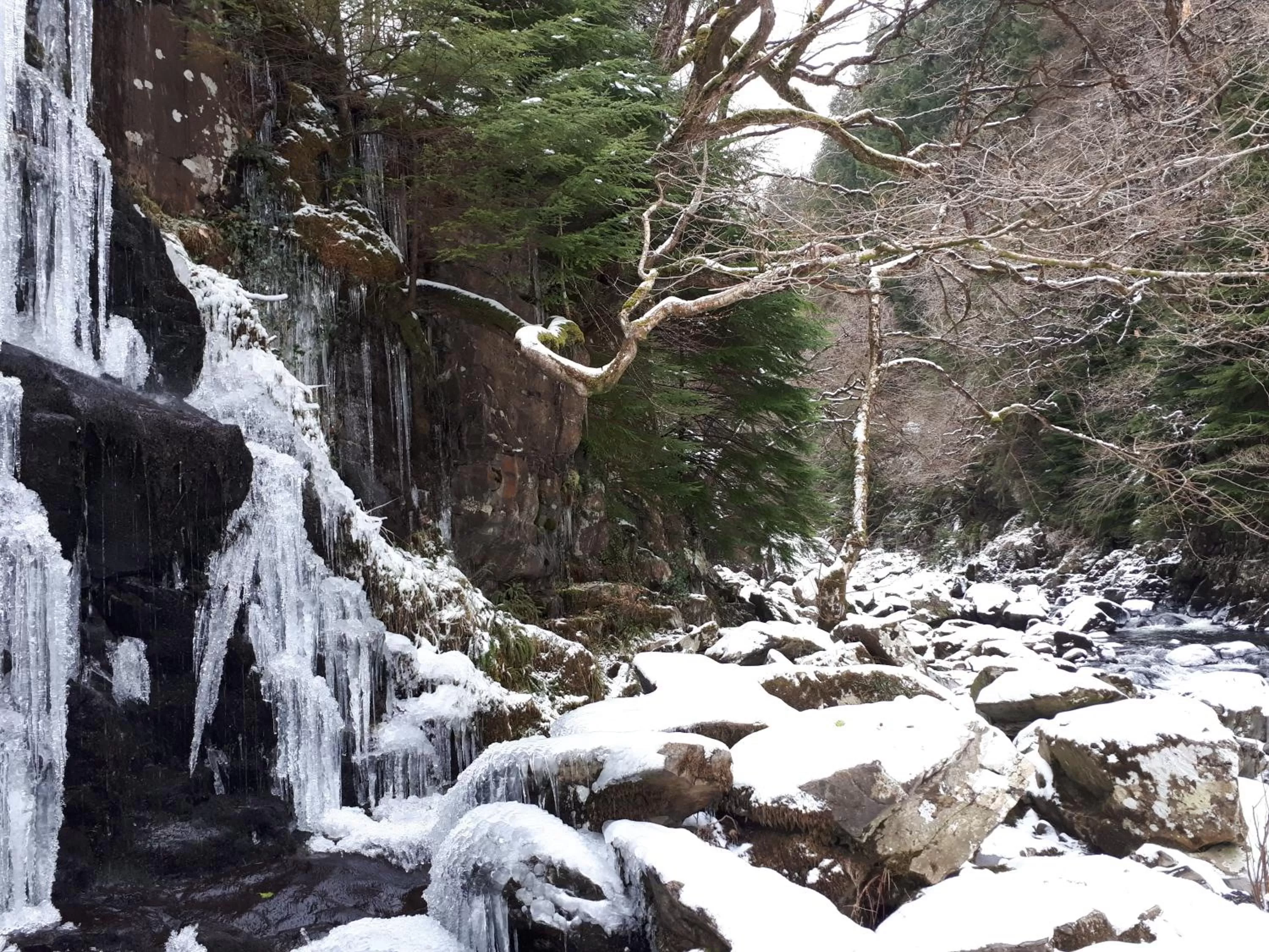 Nearby landmark, Winter in Aberconwy House B&B
