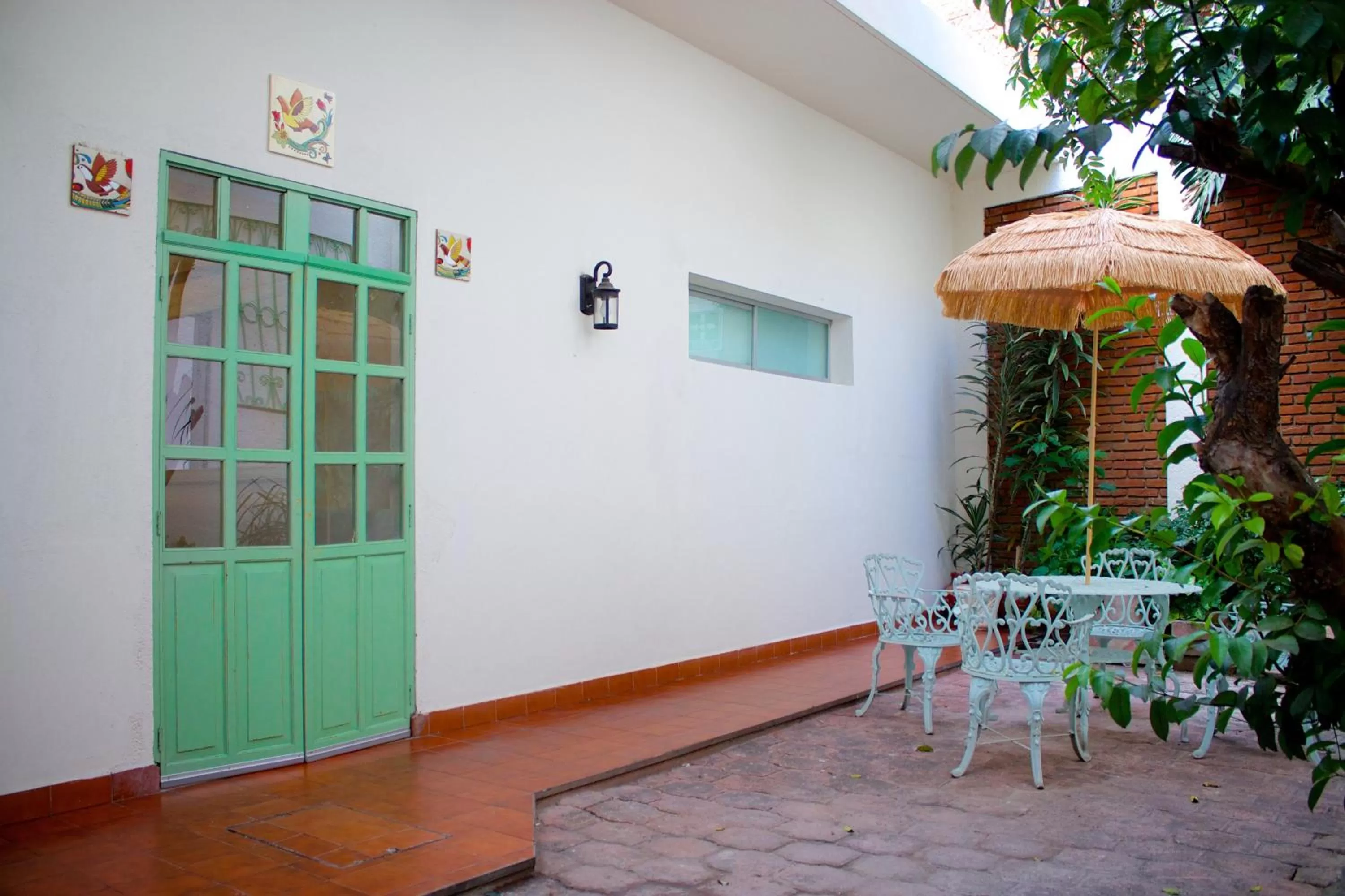 Garden in Casa Jose Maria