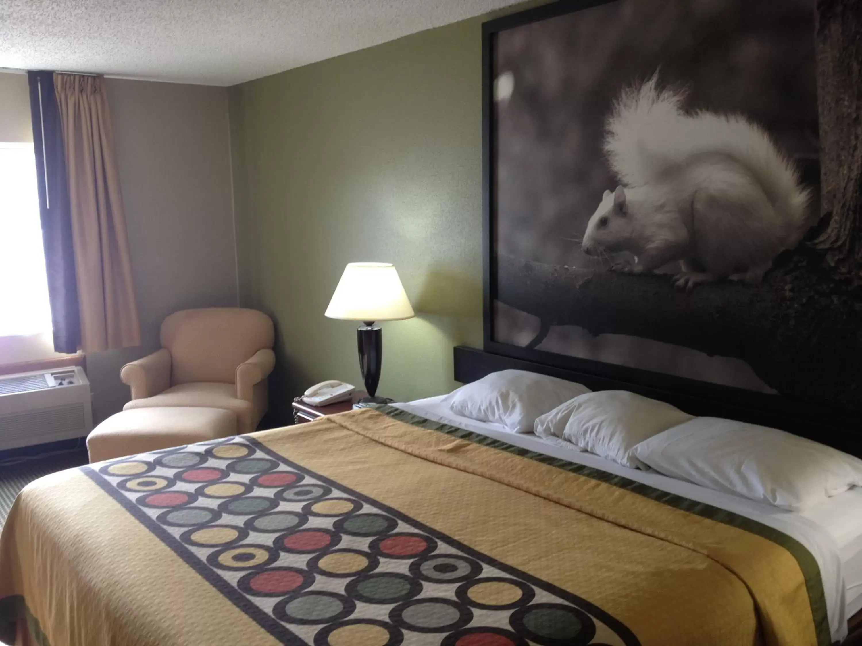 Bed in Super 8 by Wyndham Olney