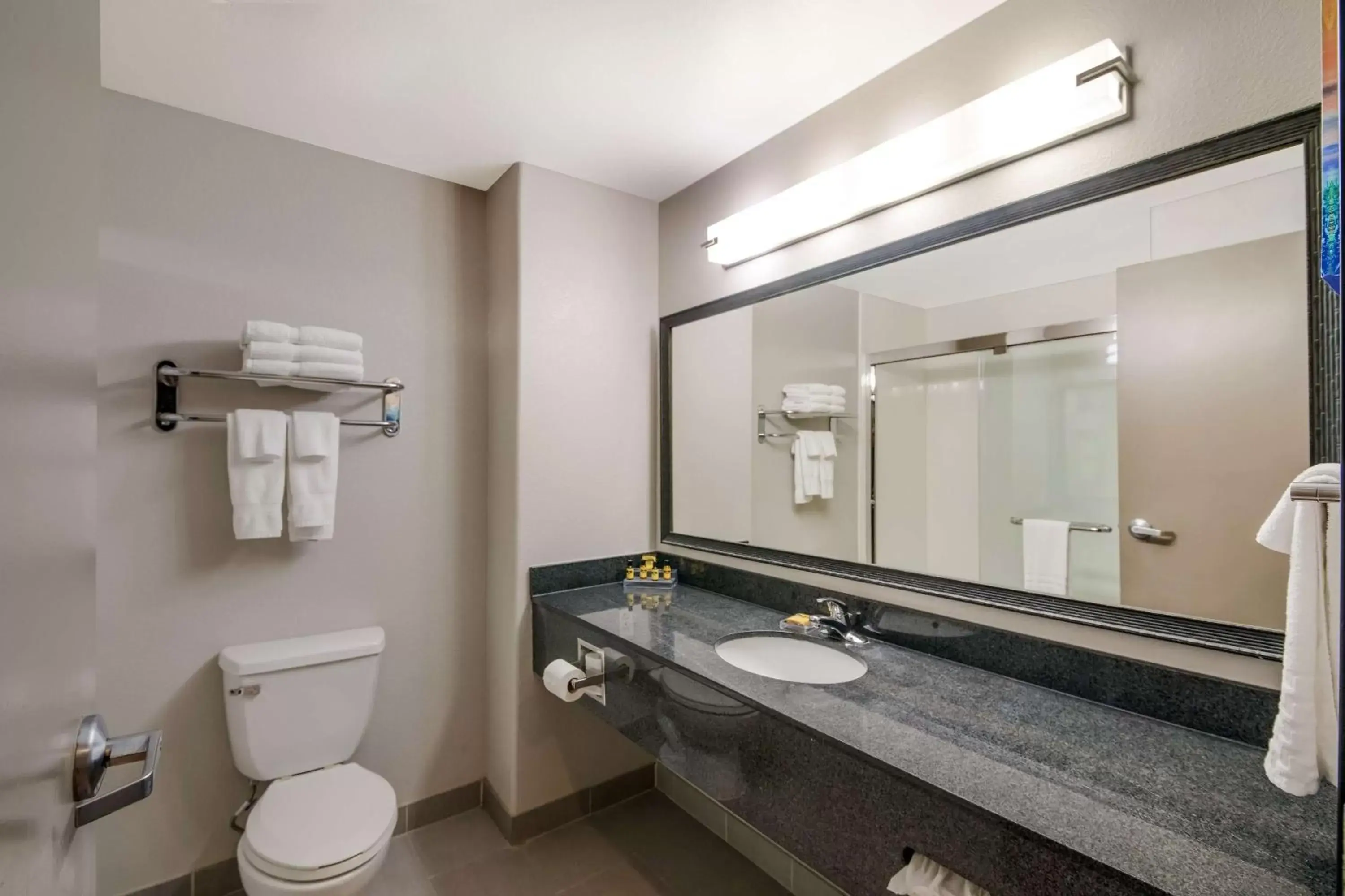 Bathroom in Best Western Plus Killeen/Fort Hood Hotel & Suites