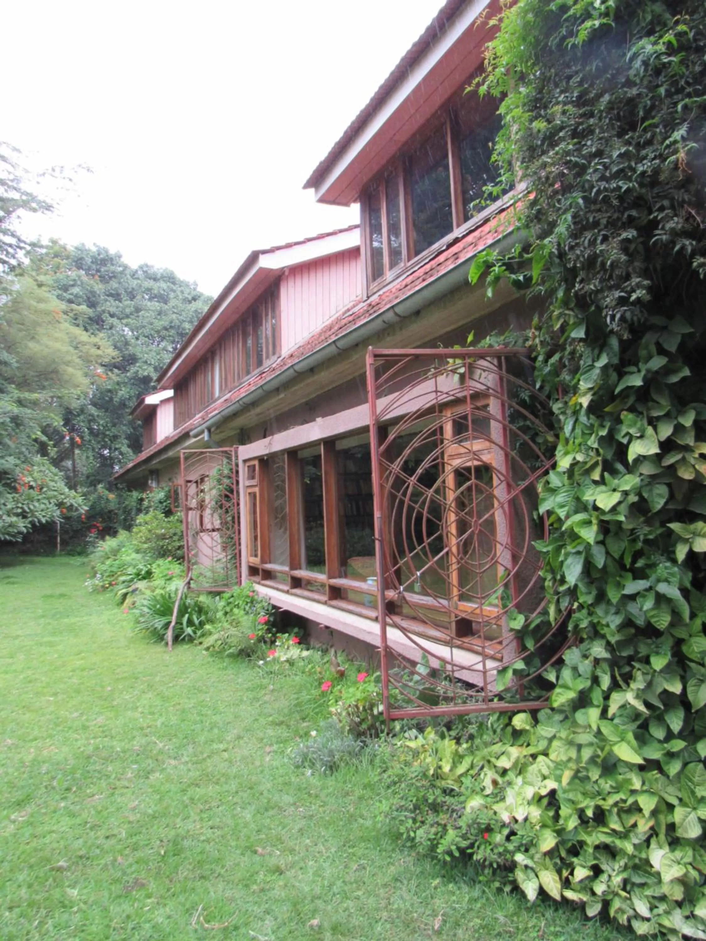 Garden in The Researchers Rest