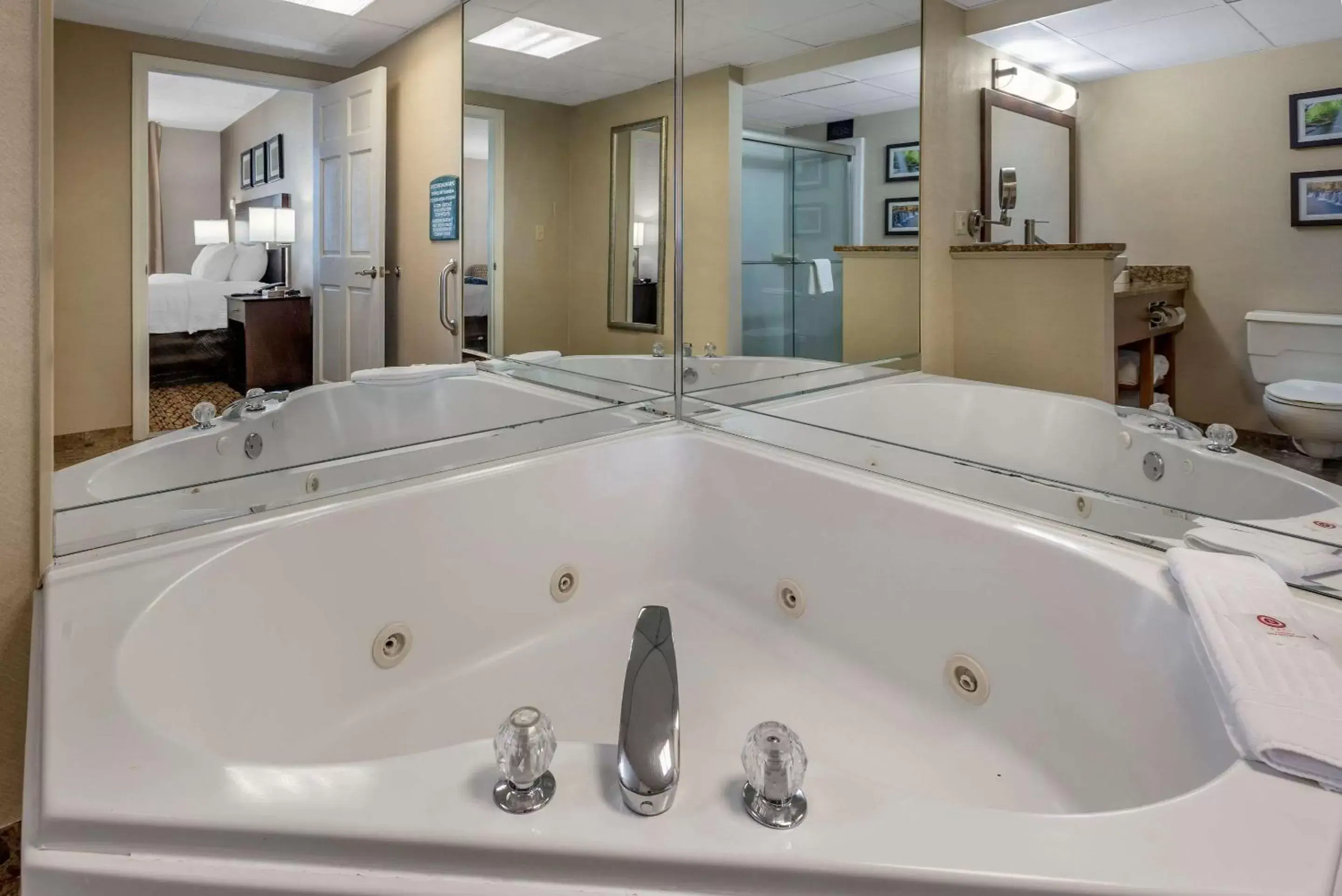 Photo of the whole room, Bathroom in Comfort Inn & Suites Glen Mills - Concordville