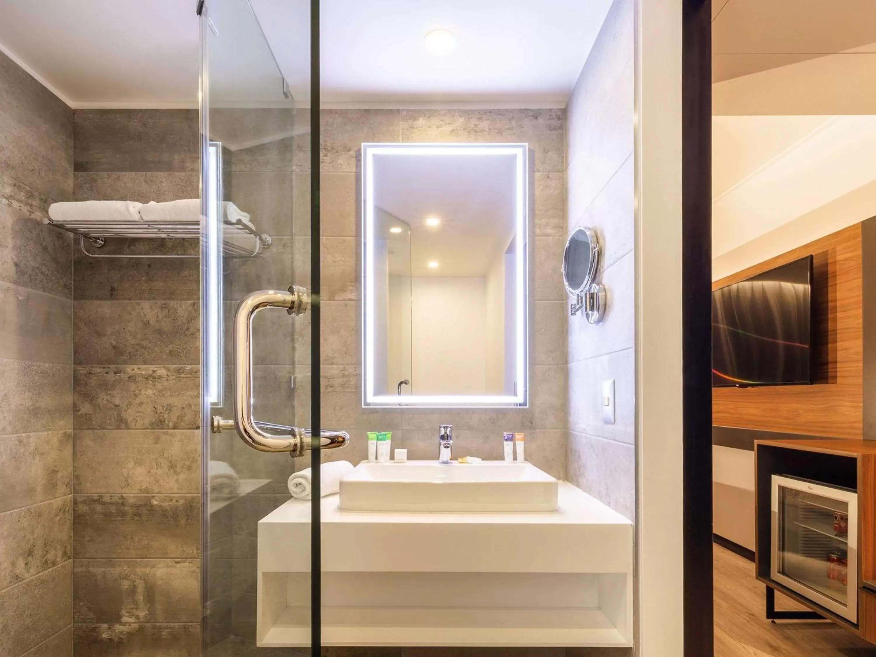 Photo of the whole room, Bathroom in Novotel Santiago Providencia