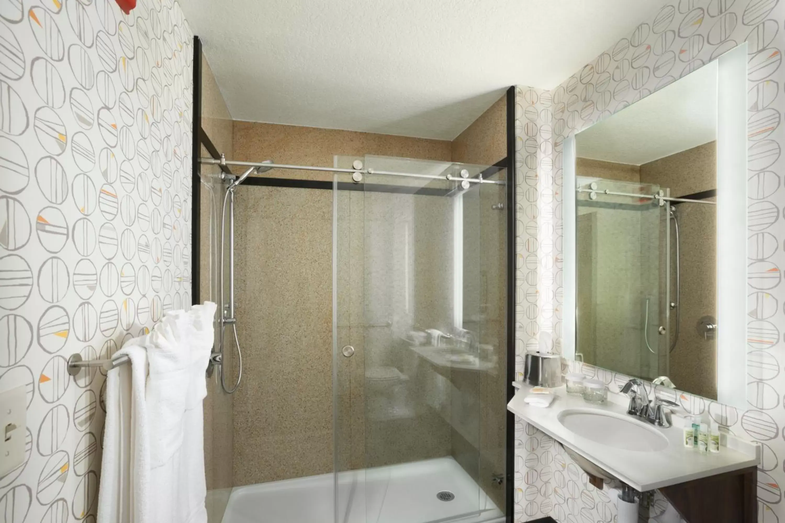 Bathroom in Holiday Inn Asheville East-Blue Ridge Pkwy by IHG Bathroom in Holiday Inn Asheville East-Blue Ridge Pkwy by IHG