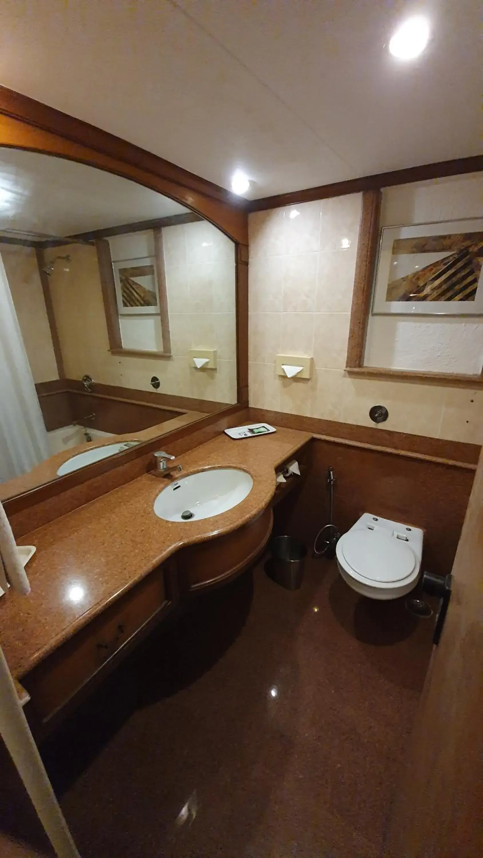Bathroom in The Pride Chennai Hotel