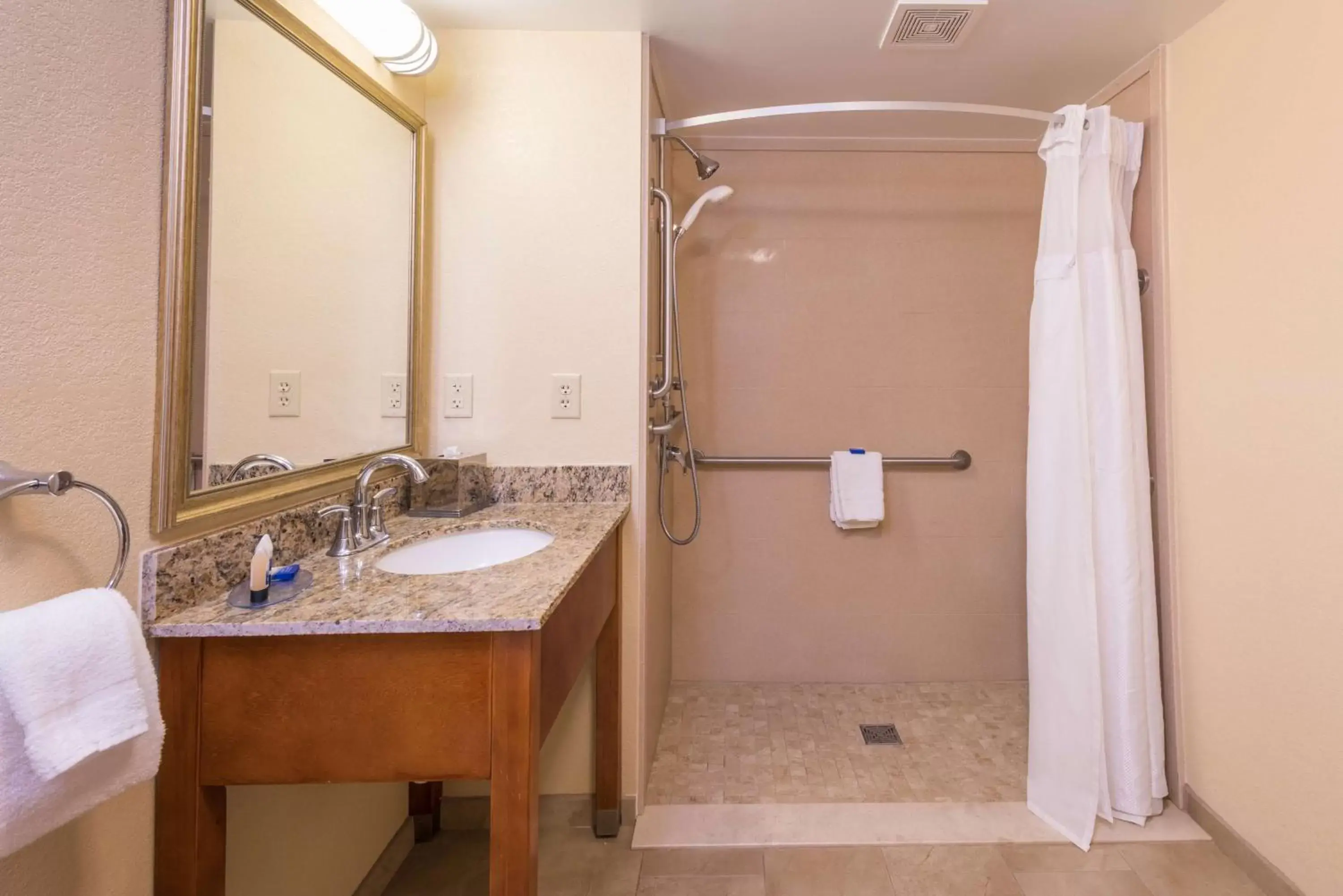 Bathroom in Best Western Charleston Inn