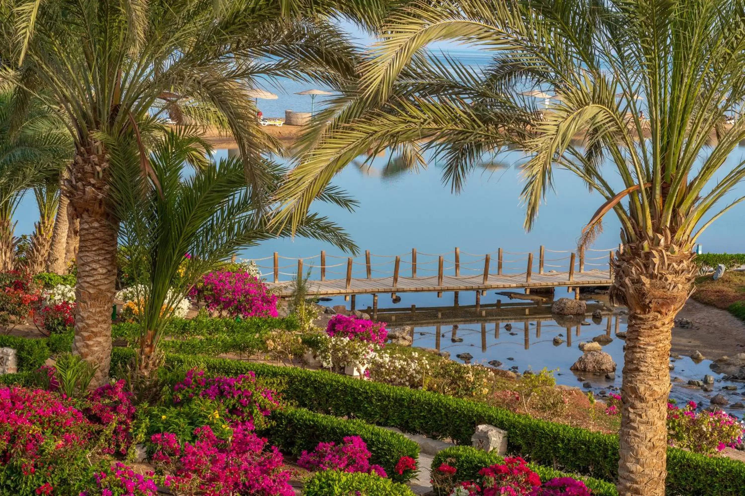 Garden in Movenpick Resort & Spa El Gouna