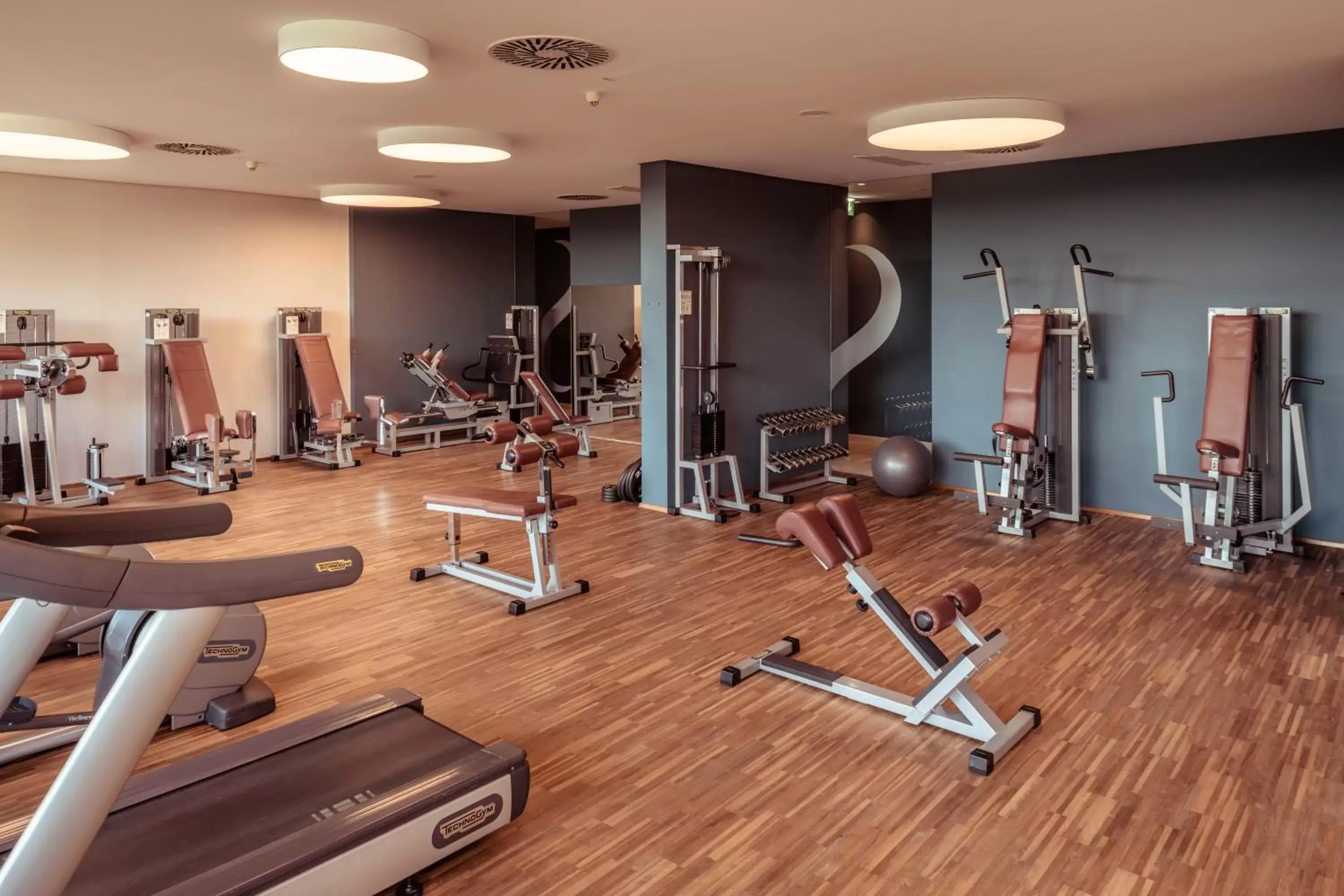 Fitness centre/facilities, Fitness Center/Facilities in Falkensteiner Balance Resort Stegersbach - Adults only