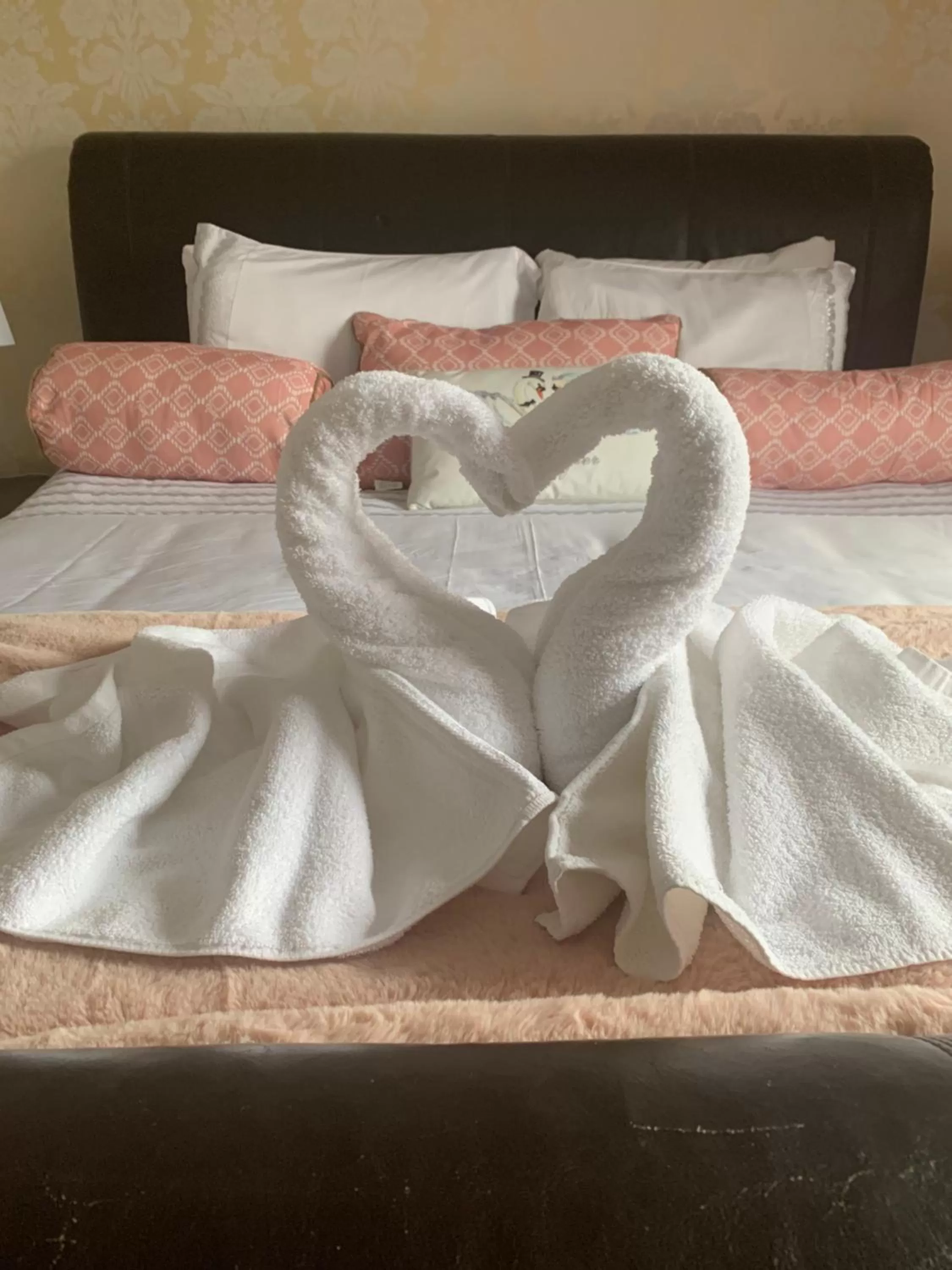 Bed in the swan stoford