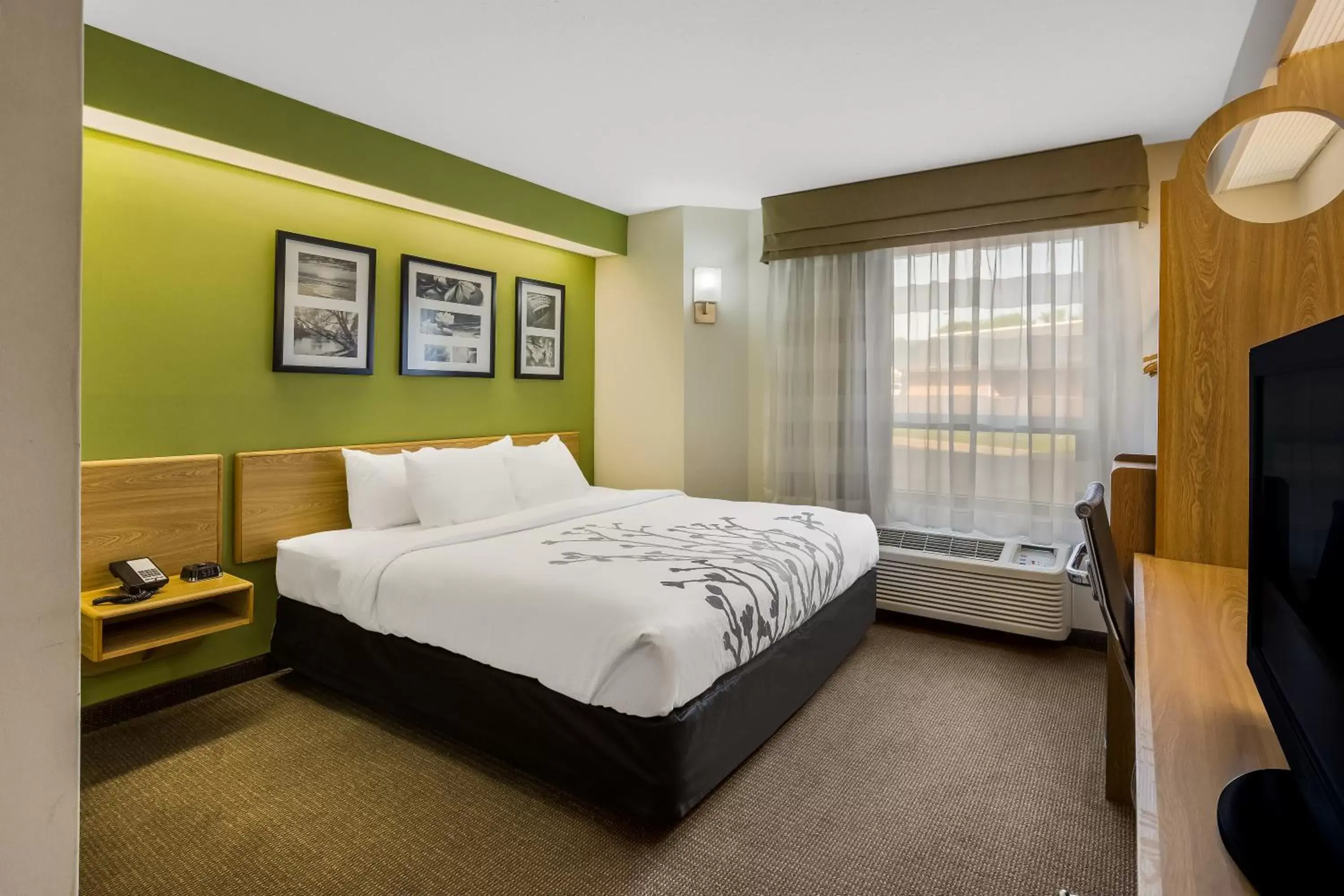 King Room - Accessible/Non-Smoking in Sleep Inn Bolivar