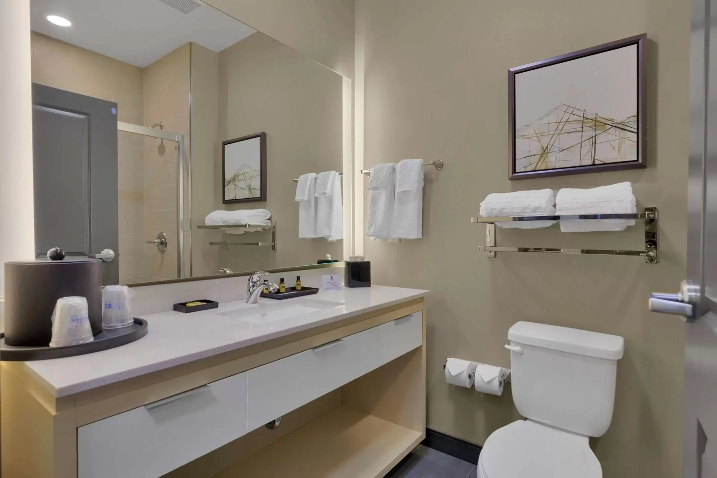 Bathroom in Best Western Plus Executive Residency Fillmore Inn