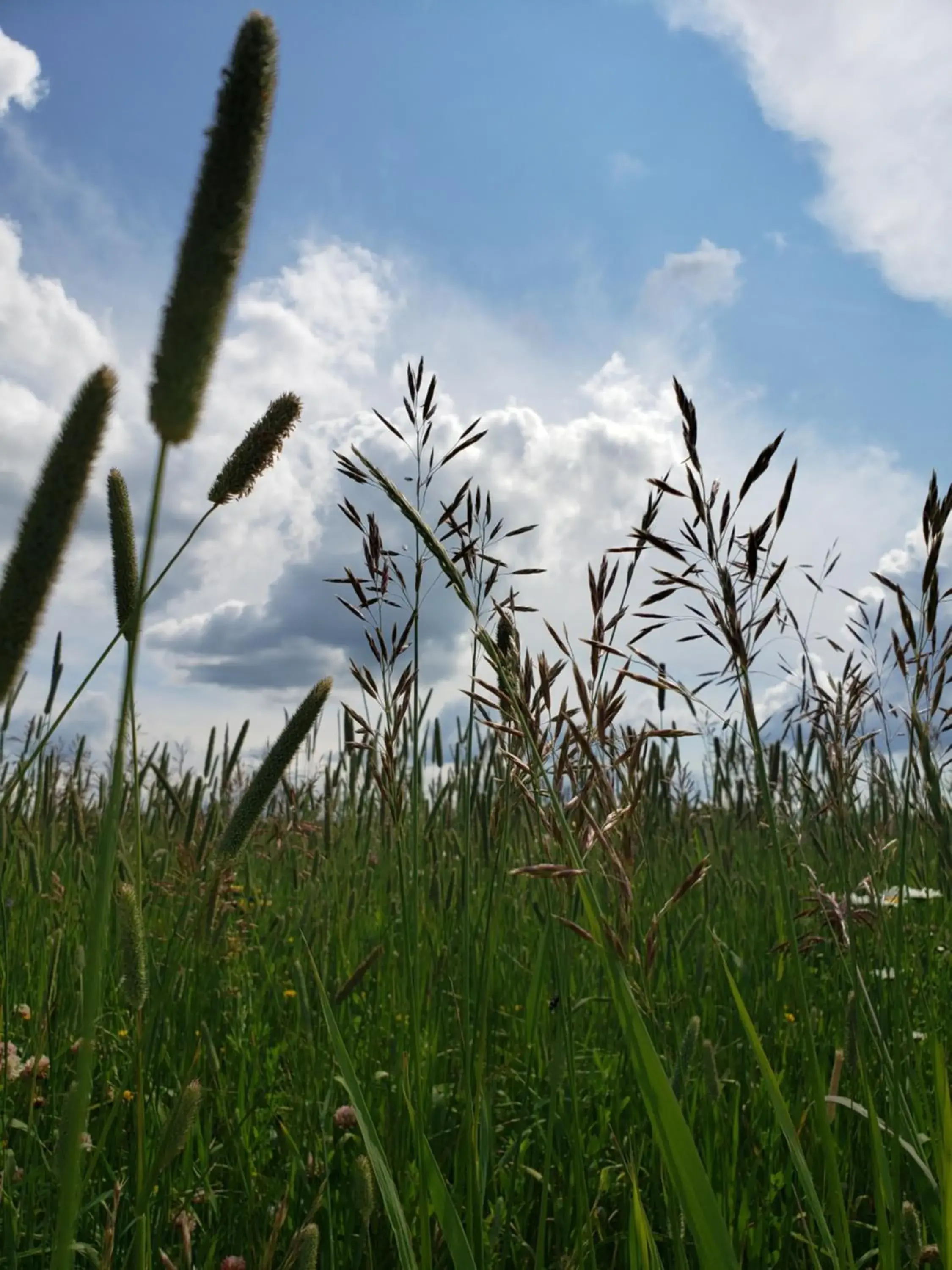 Natural landscape in Woodhouse Cottages And Ranch