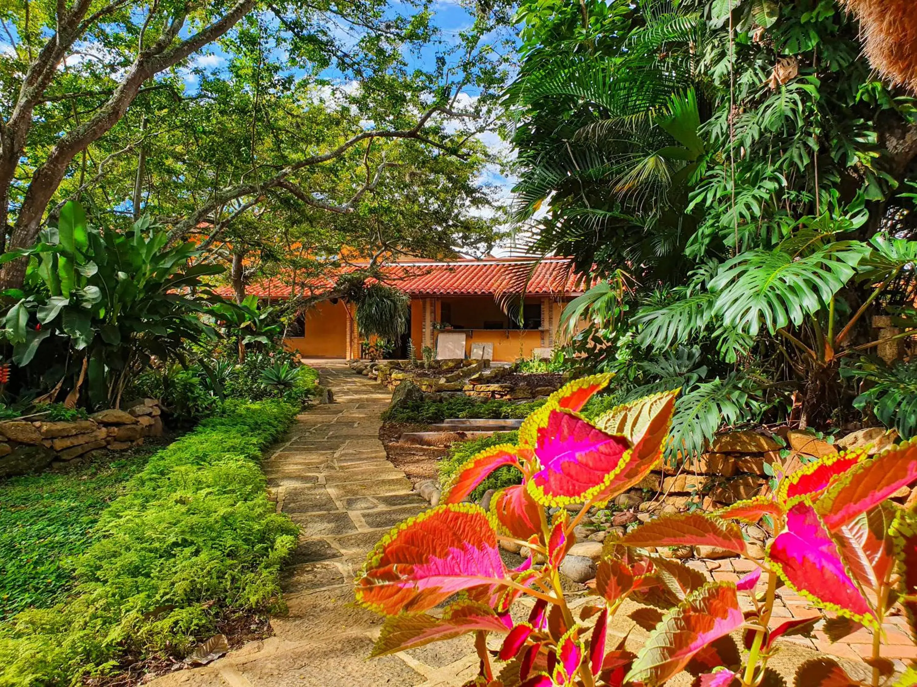 Garden in Hotel Terra Barichara