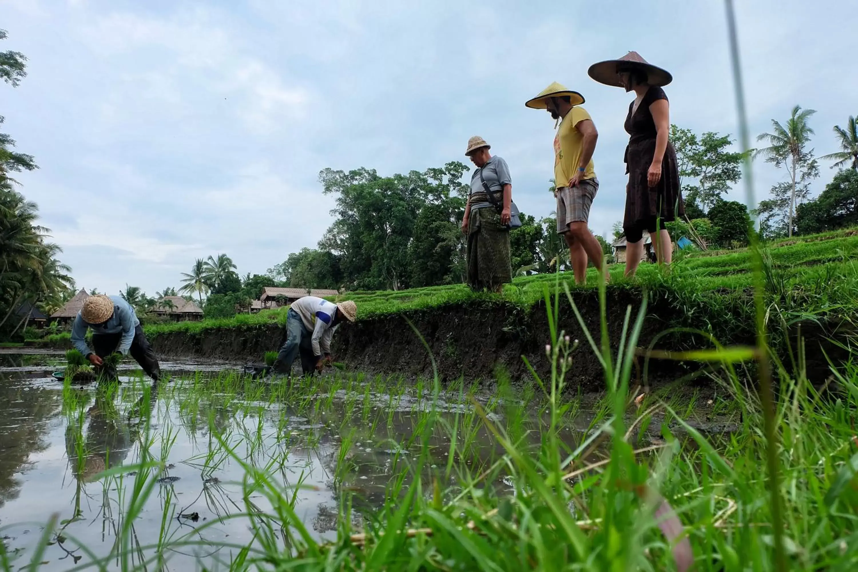 Activities, Guests in Puri Taman Sari