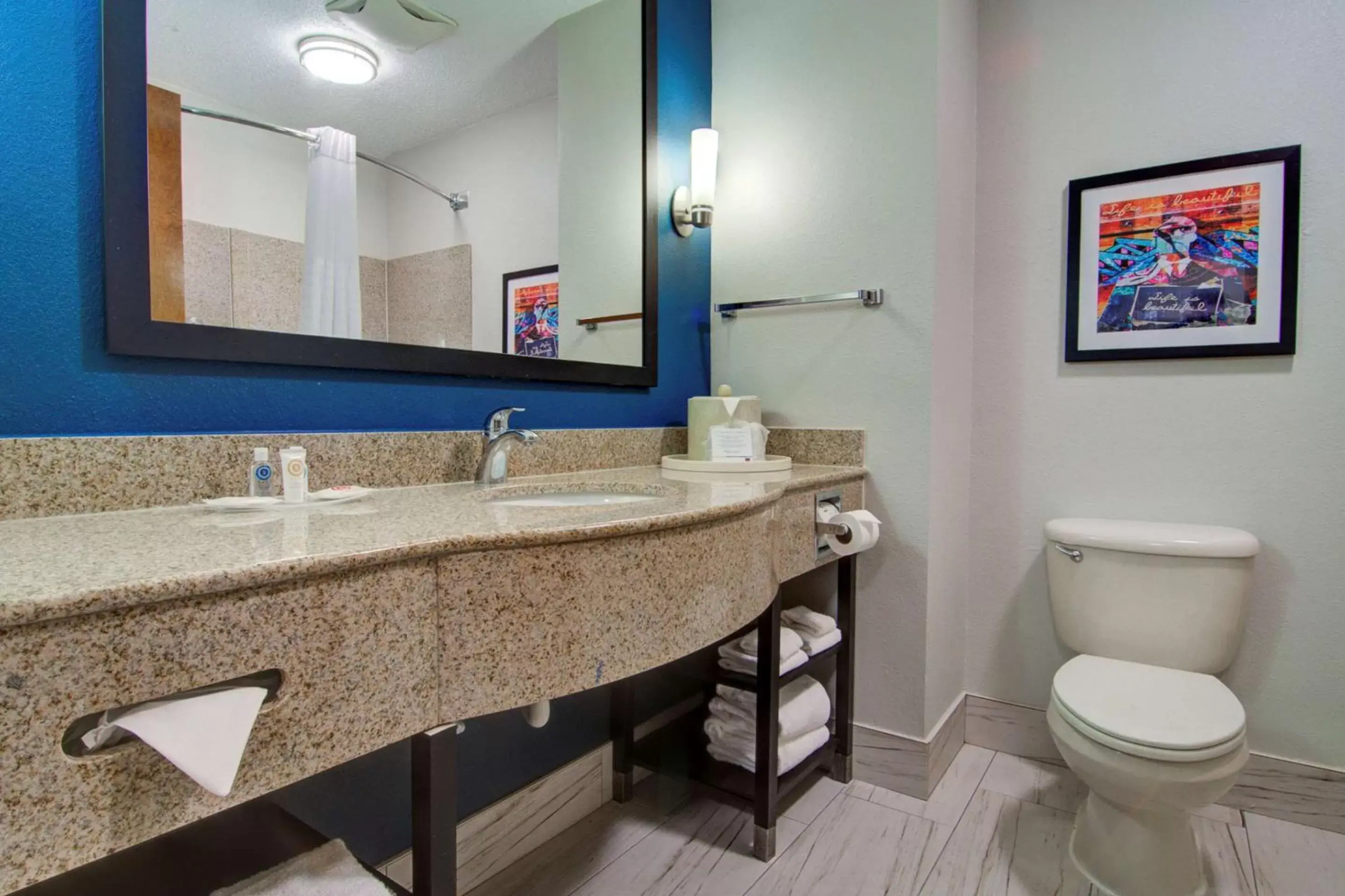 Photo of the whole room, Bathroom in Comfort Suites Newport News Airport