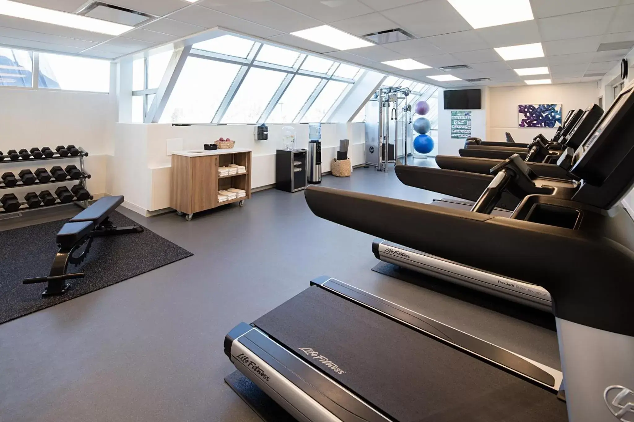 Fitness centre/facilities, Fitness Center/Facilities in Delta Hotels by Marriott Calgary South