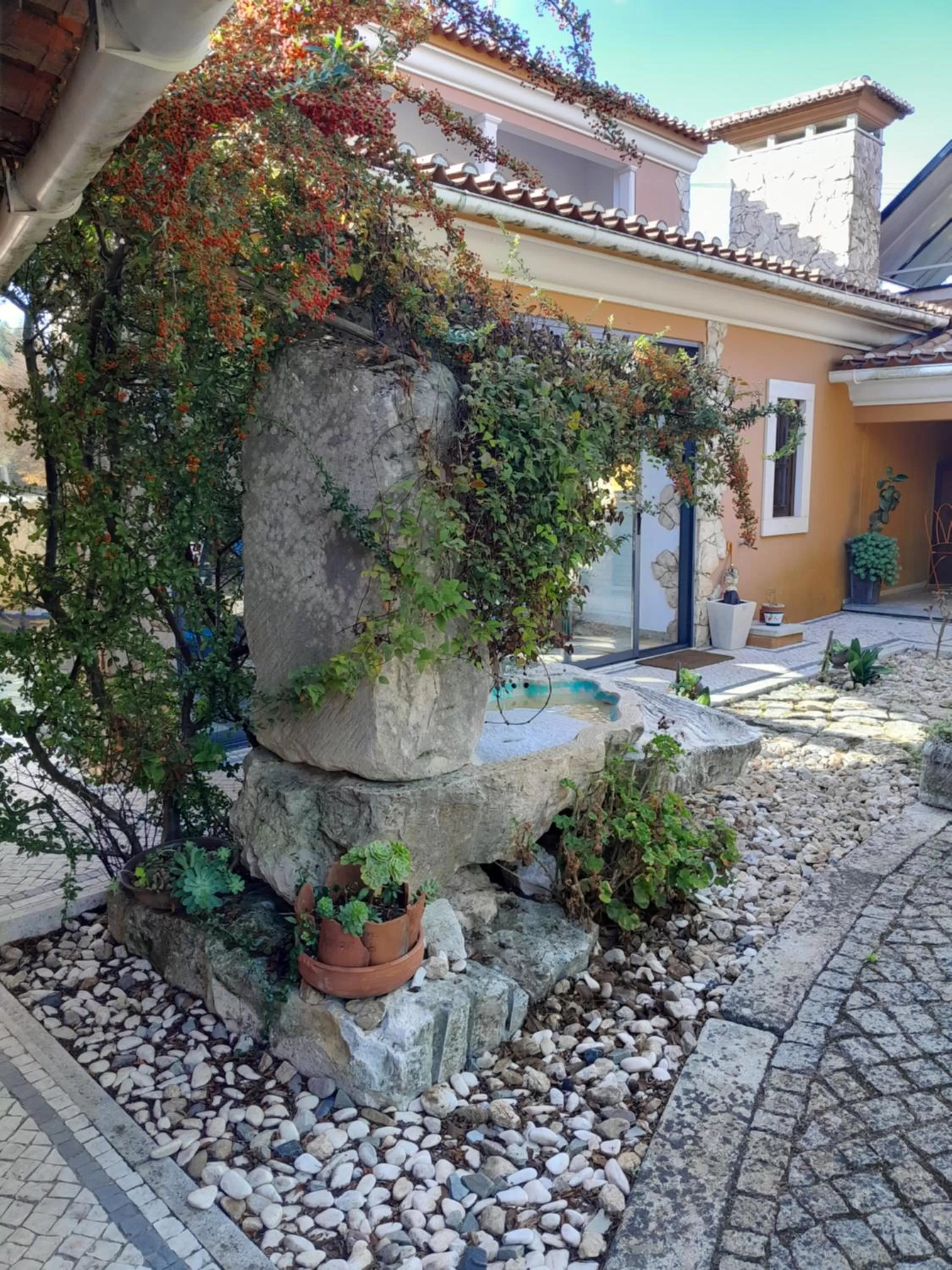 Garden in Refúgio das Artes Guesthouse