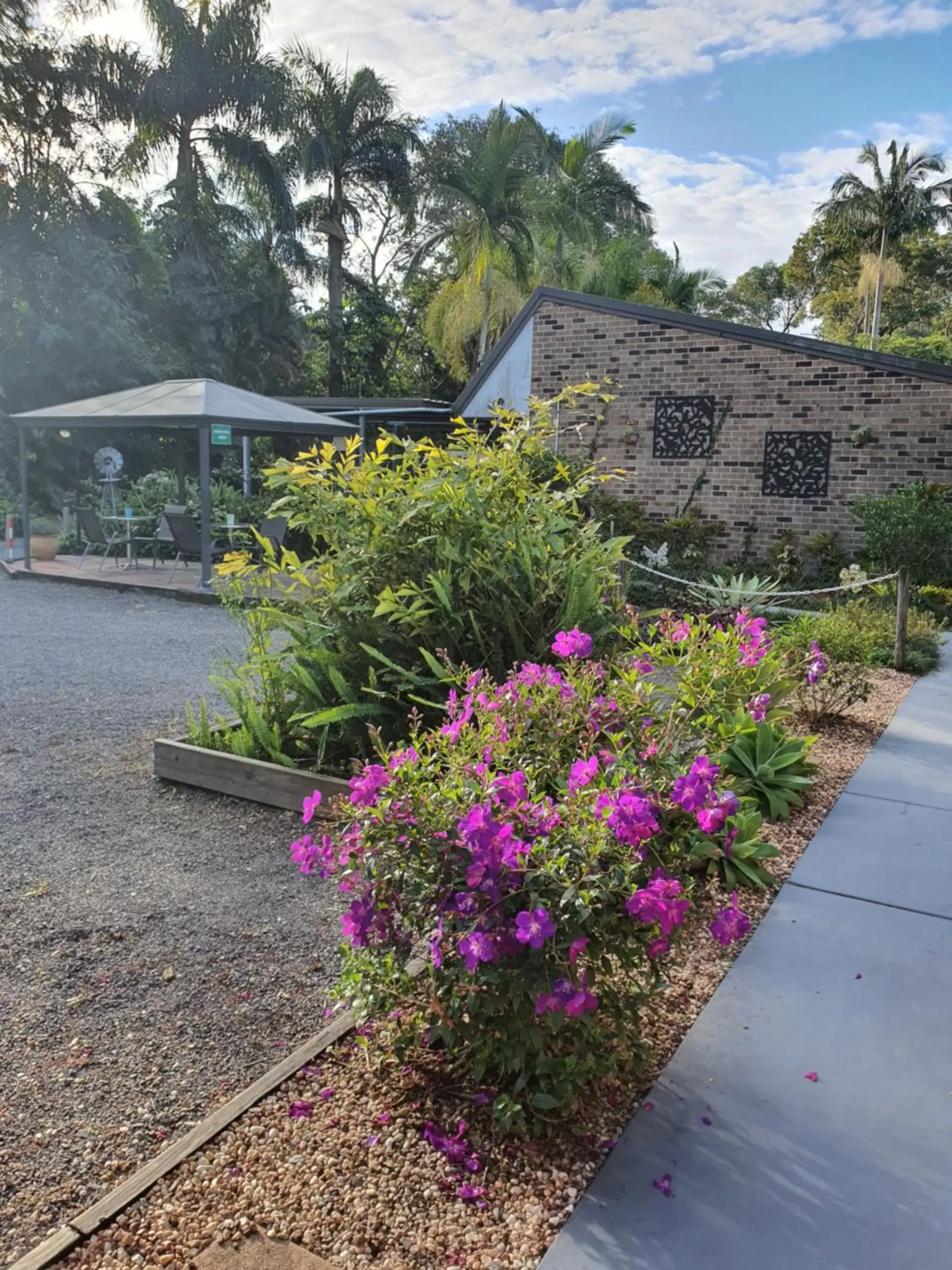 Garden in Beerwah Motor Lodge