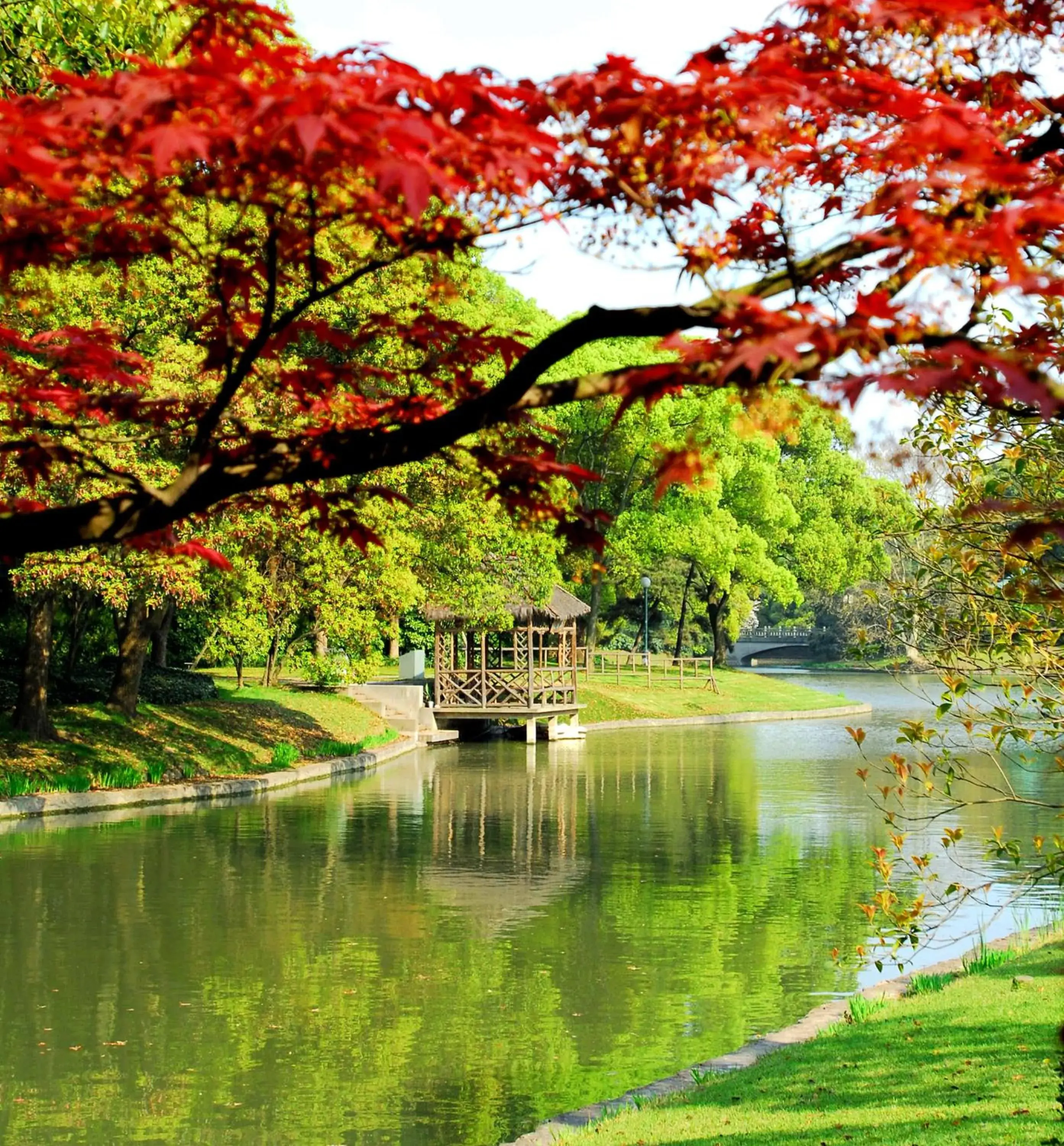 Garden in Xijiao State Guest Hotel