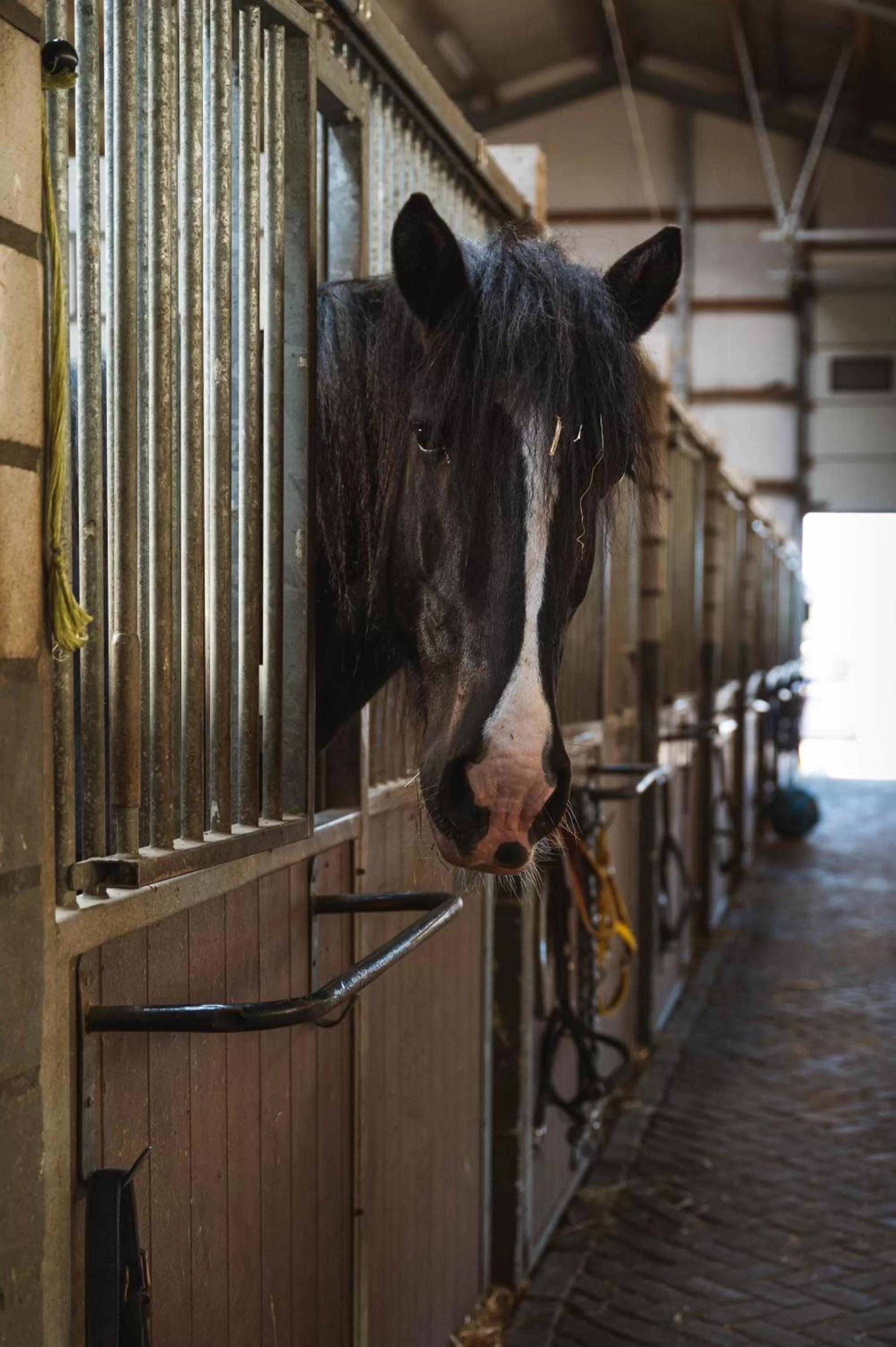 View (from property/room) in Hotel Restaurant D'n Dries
