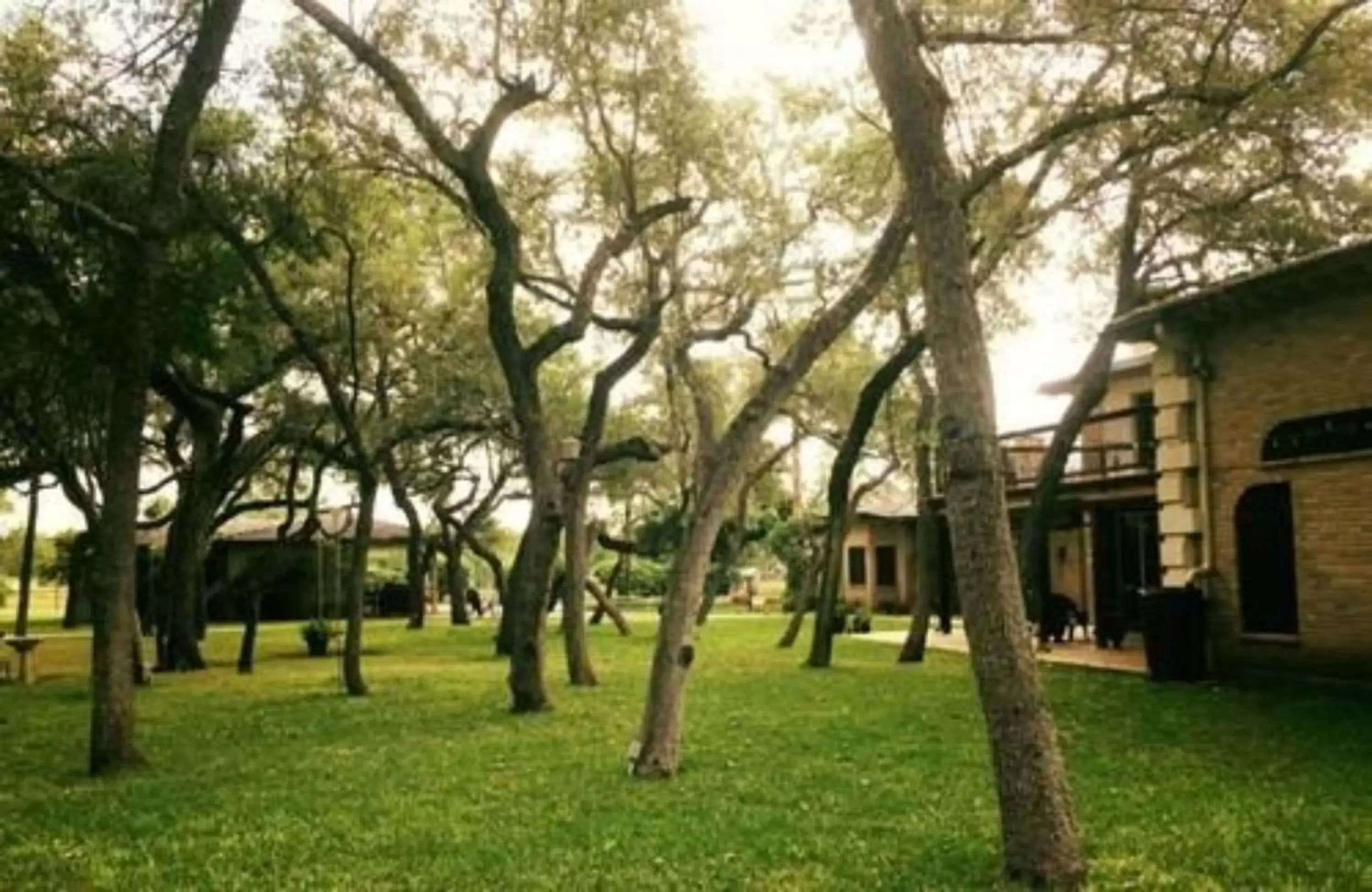 Property Building in Live Oaks Bed and Breakfast