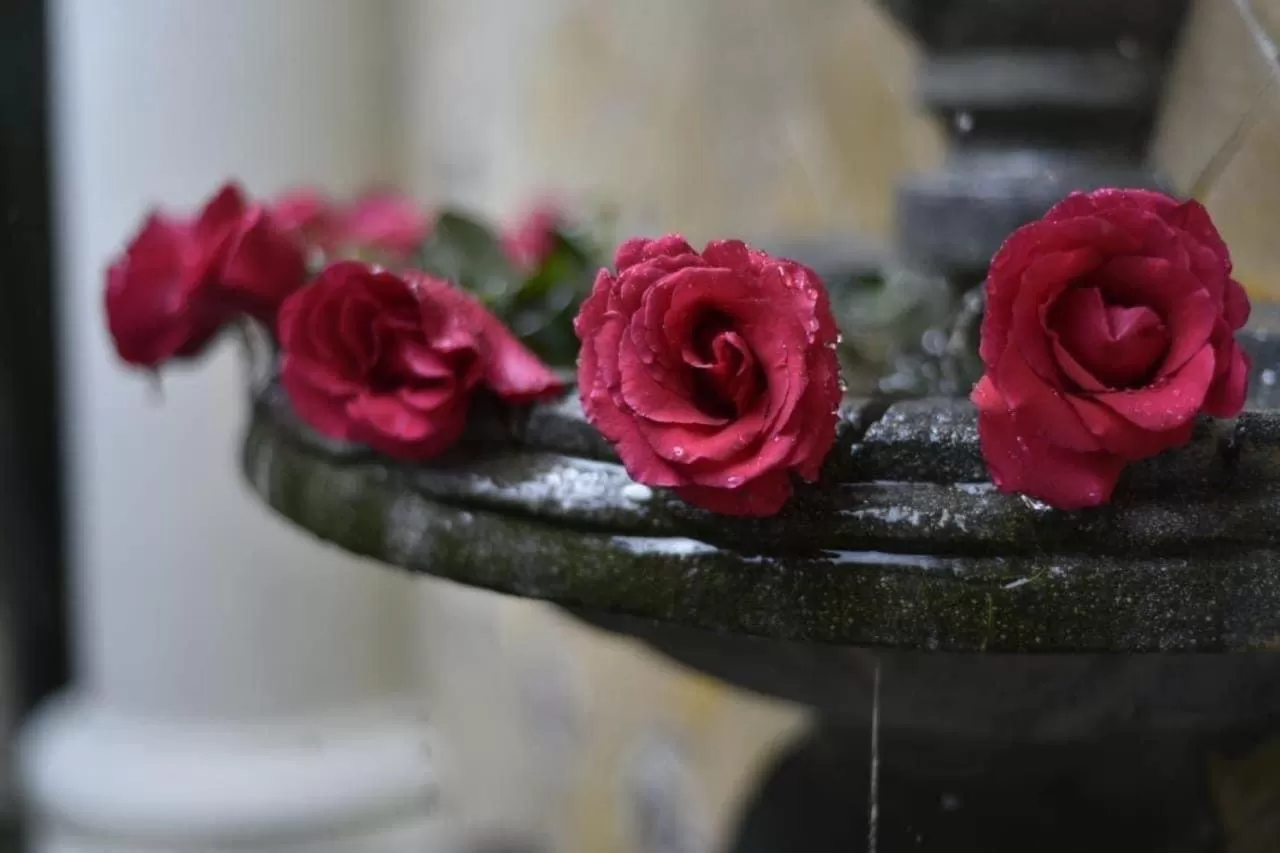 Food in HOTEL PROVINCIA