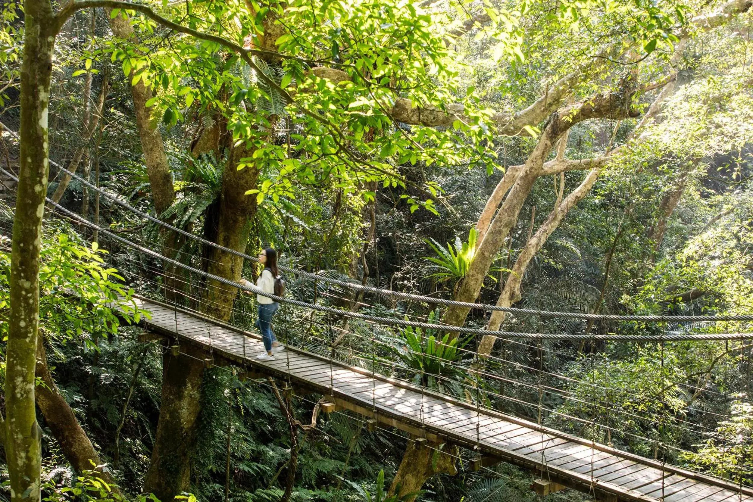 Activities in Great Roots Forestry Spa Resort