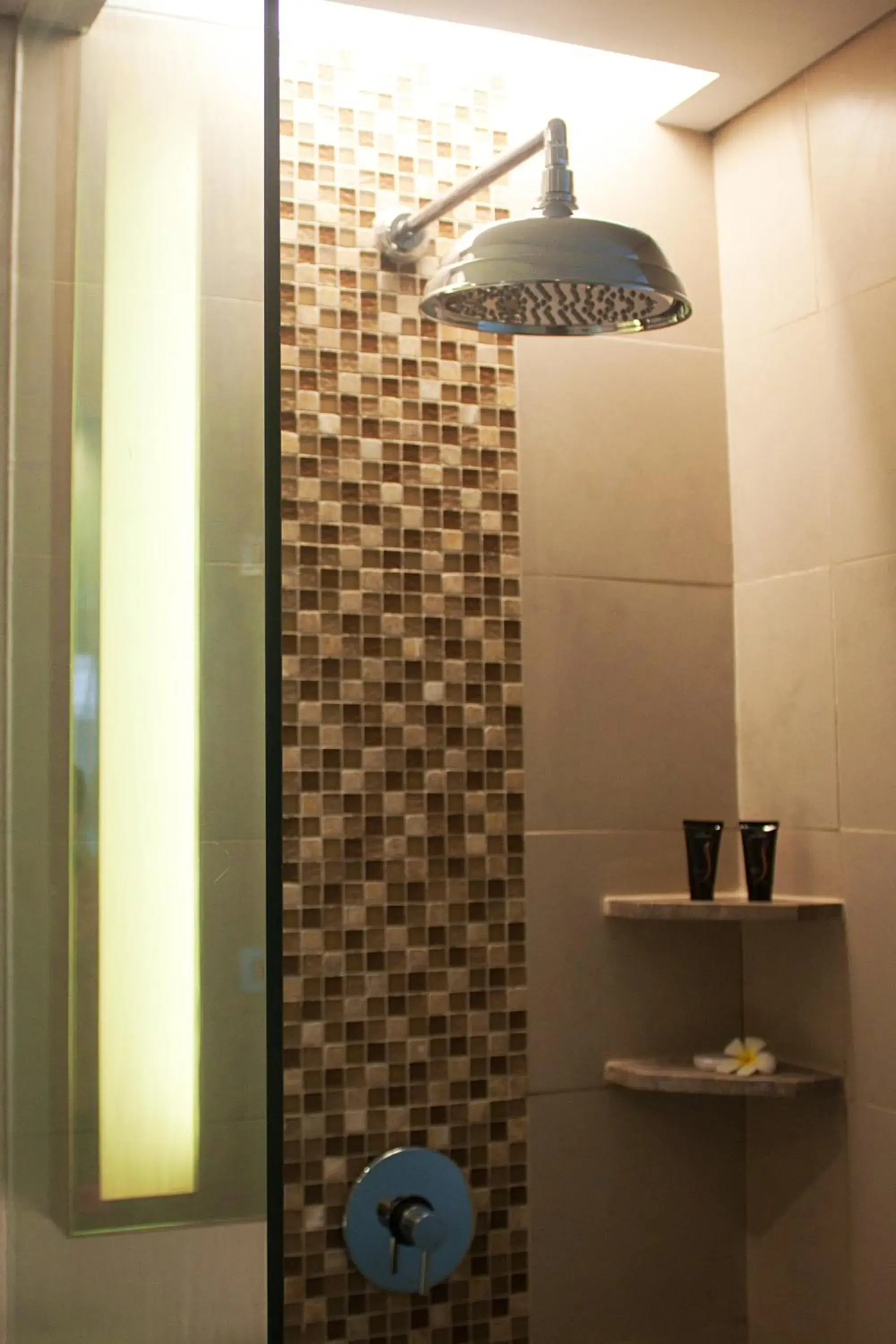 Shower, Bathroom in Sun Island Hotel & Spa Legian