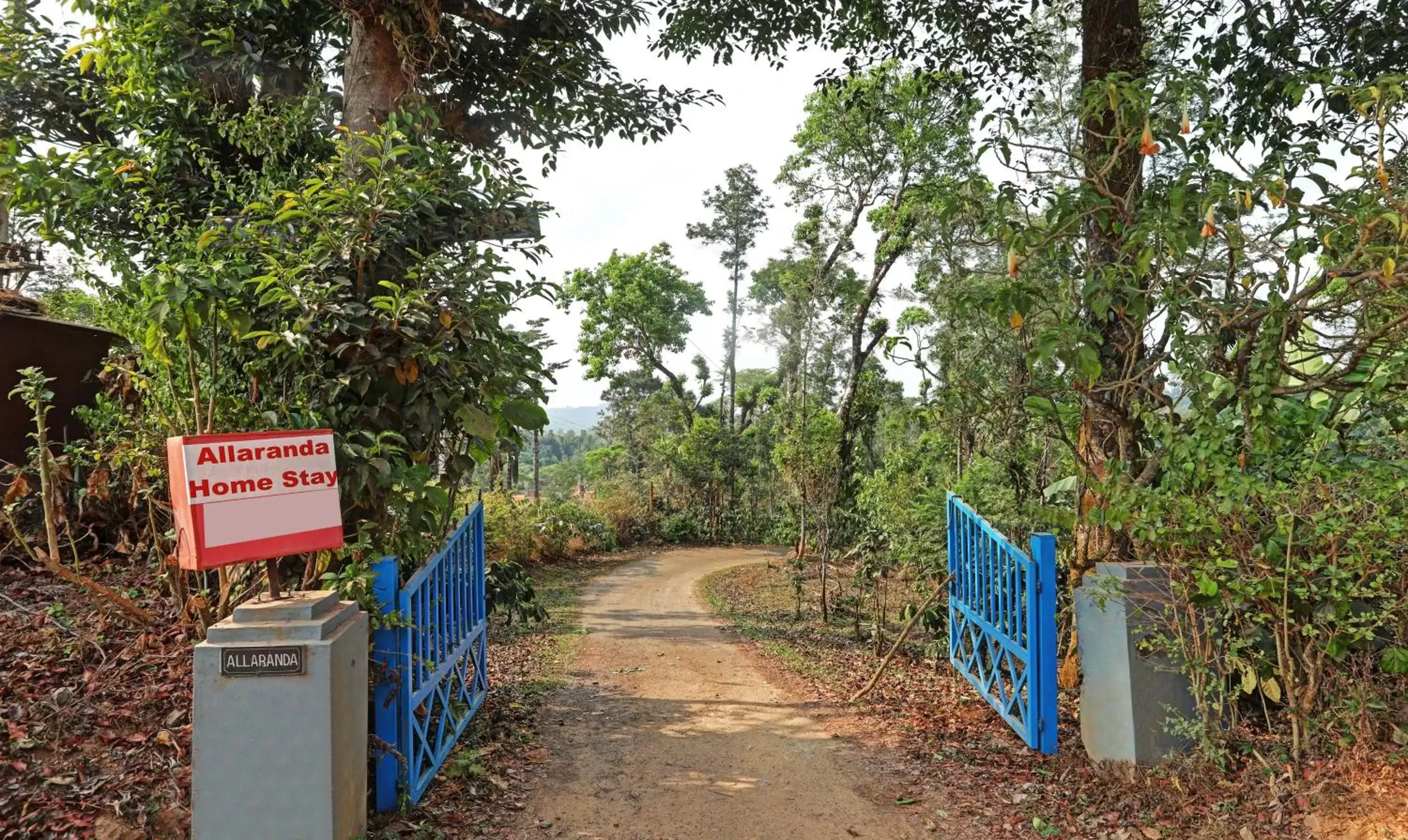 Street view in Hotel Allaranda Homestay Street view in Hotel Allaranda Homestay