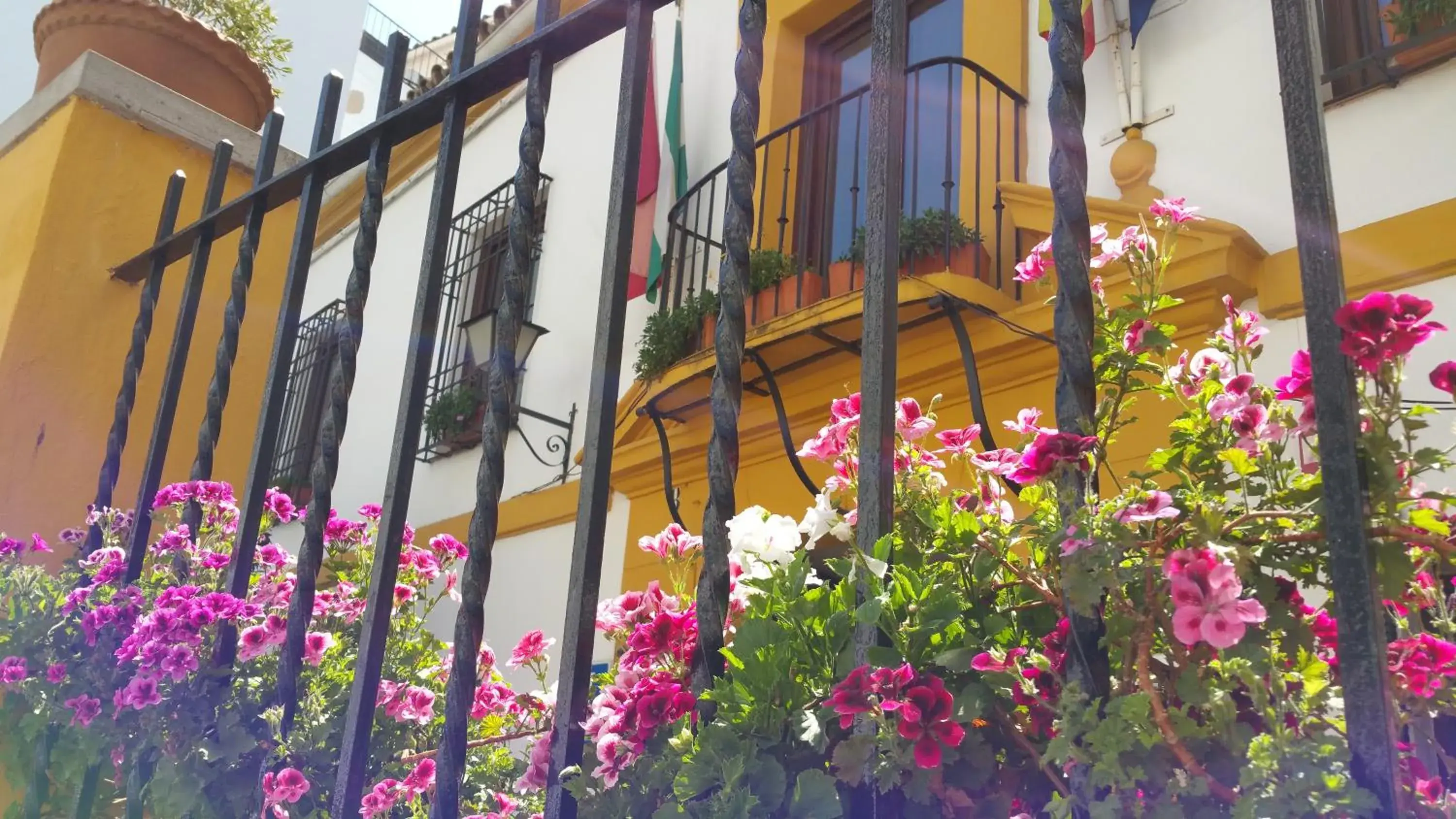 Facade/entrance in Casa de los Naranjos