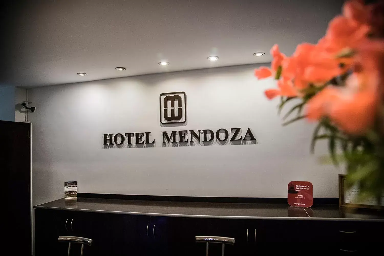 Property logo or sign, Lobby/Reception in Hotel Mendoza