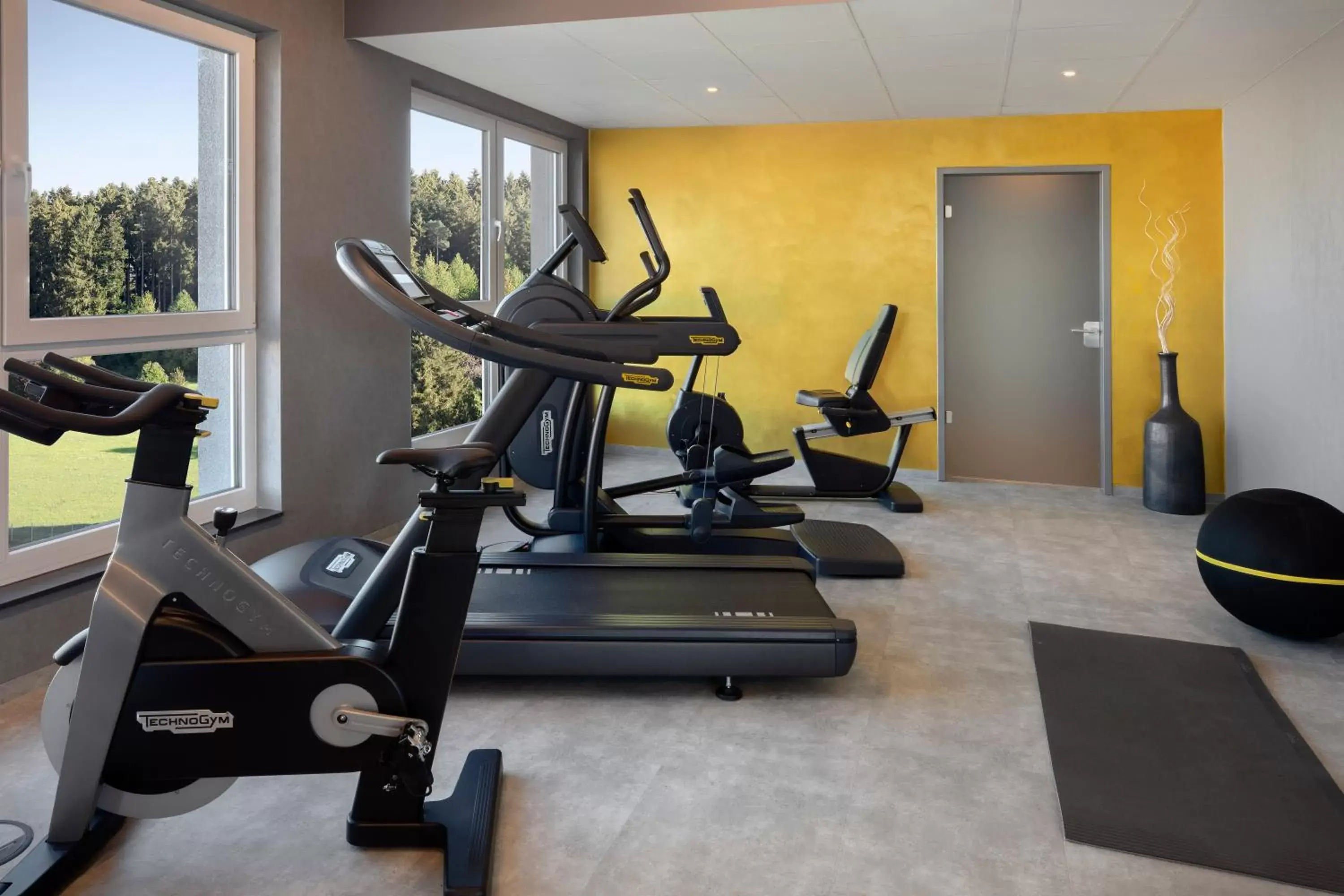 Fitness centre/facilities, Fitness Center/Facilities in Holiday Inn - Villingen - Schwenningen, an IHG Hotel