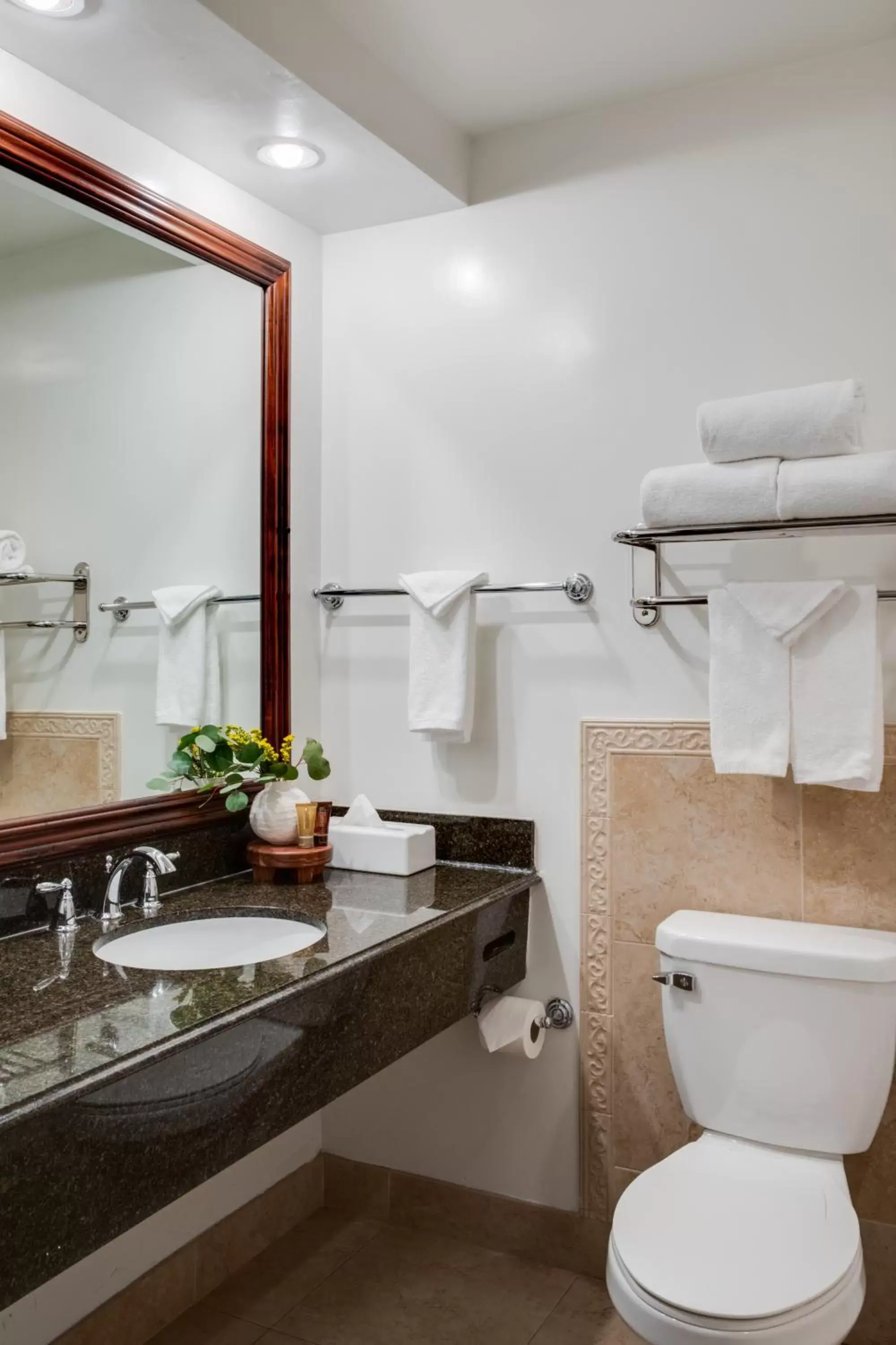 Toilet, Bathroom in Ayres Hotel Costa Mesa Newport Beach